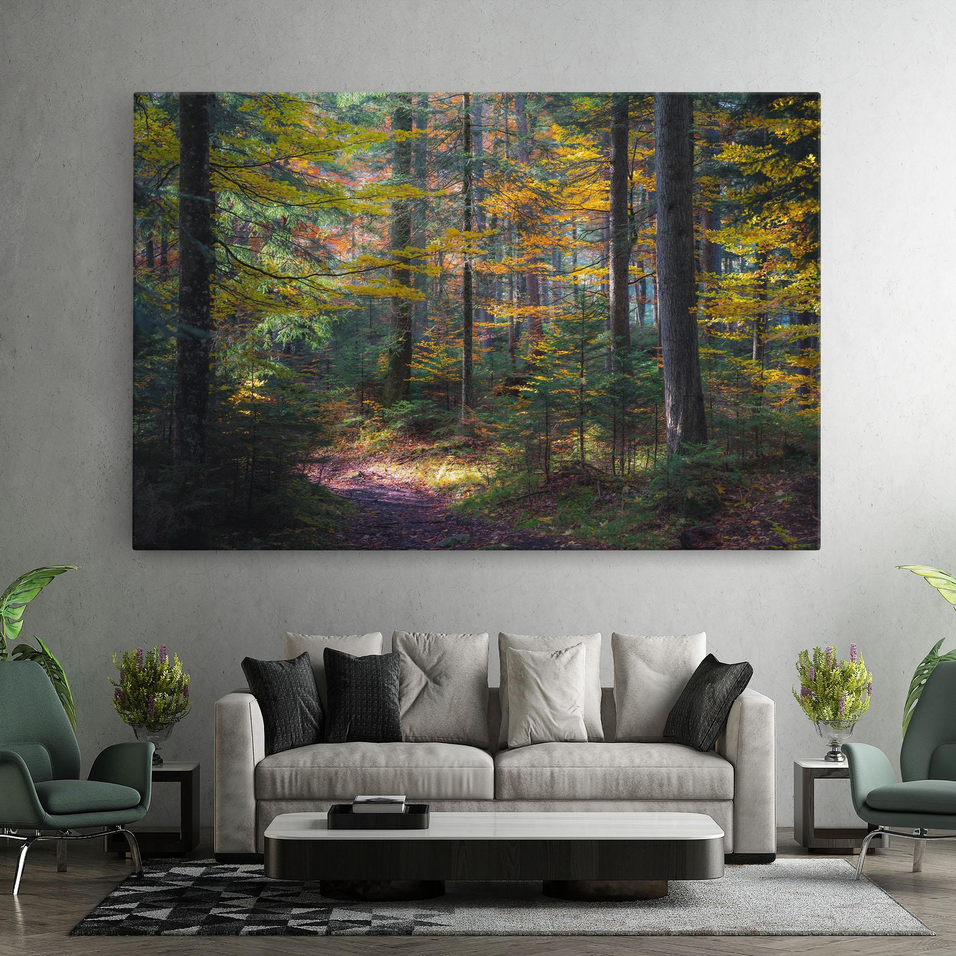 Vászonkép Dreamy Path Dorest mockup 7