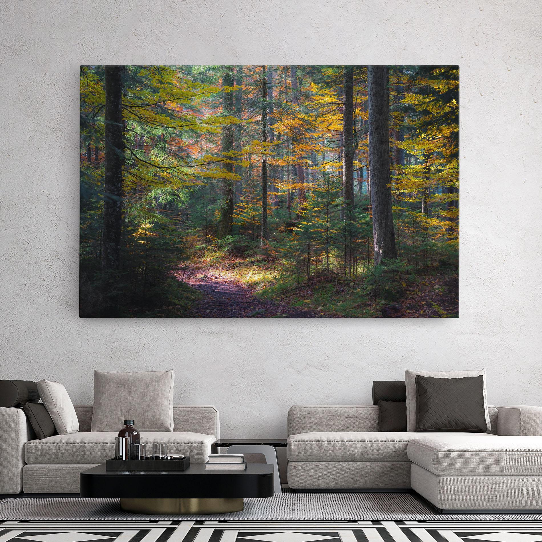 Vászonkép Dreamy Path Dorest mockup 2