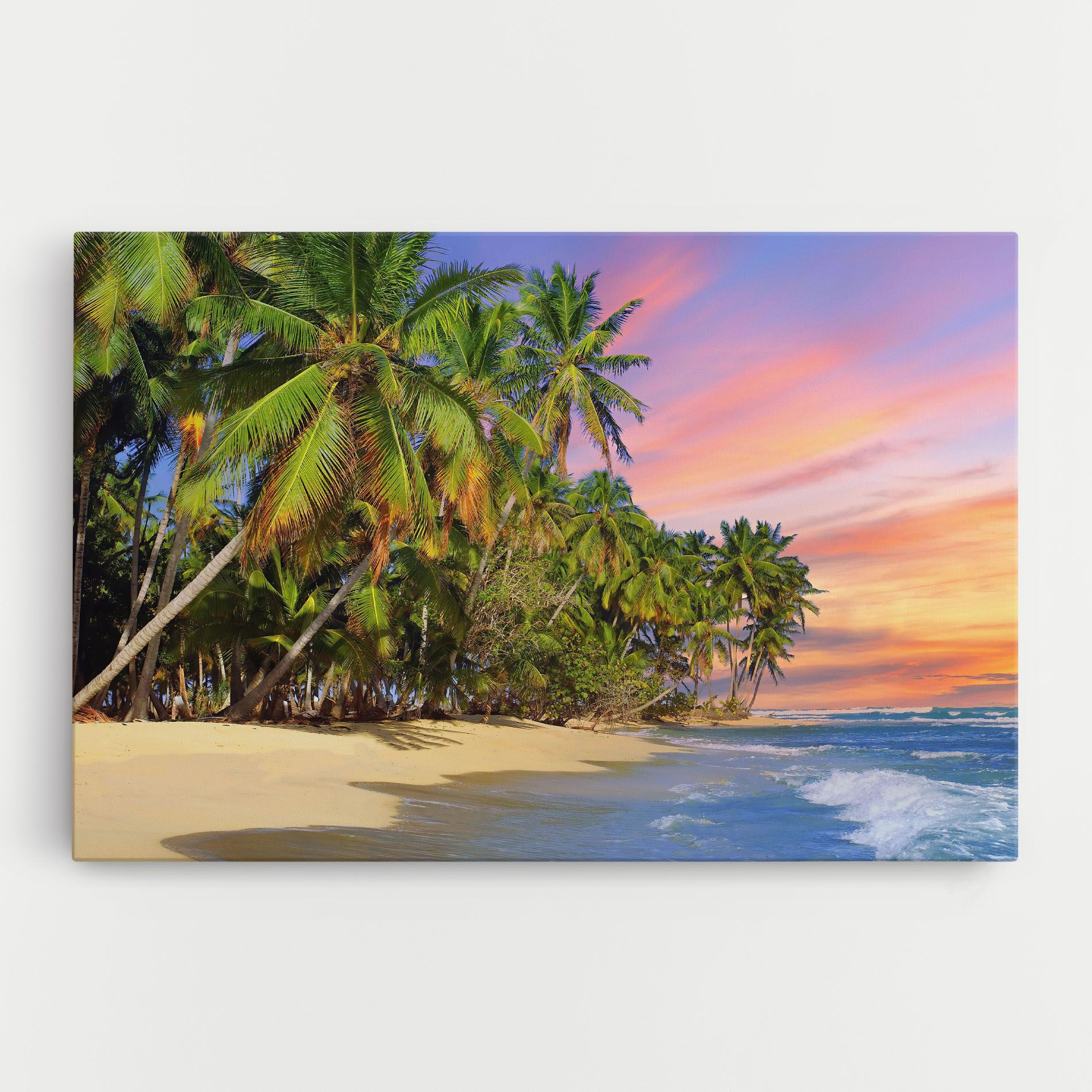 Coconut Tree Sunset mockup 0