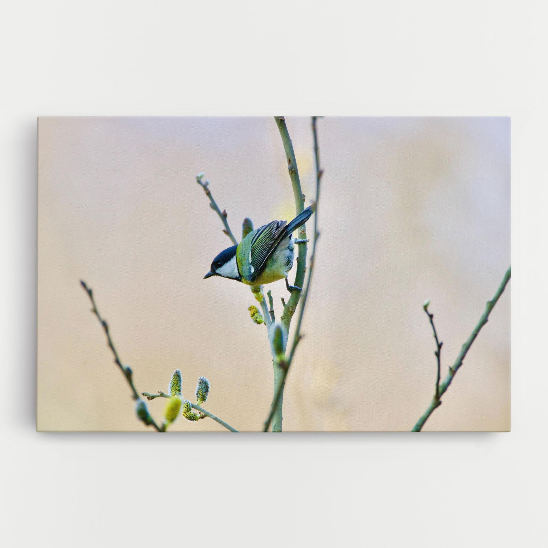 Vászonkép Beautiful Spring Bird mockup 0