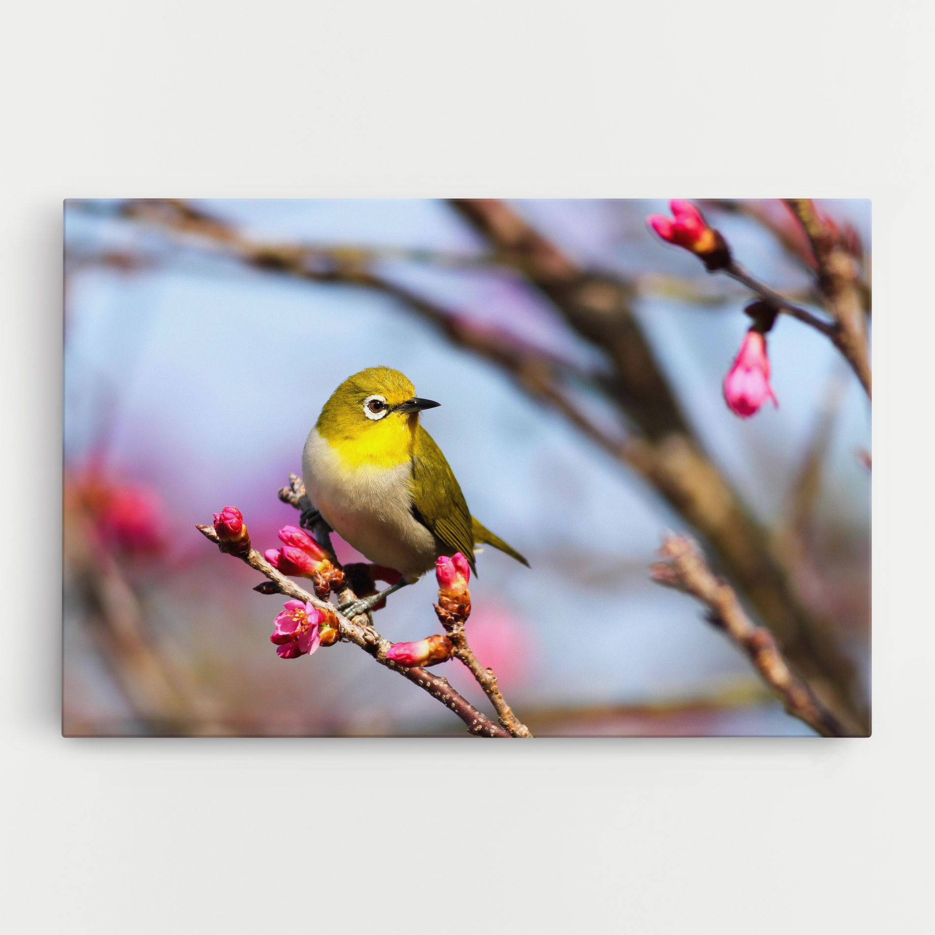 Cute Pink Flower Buds mockup 0