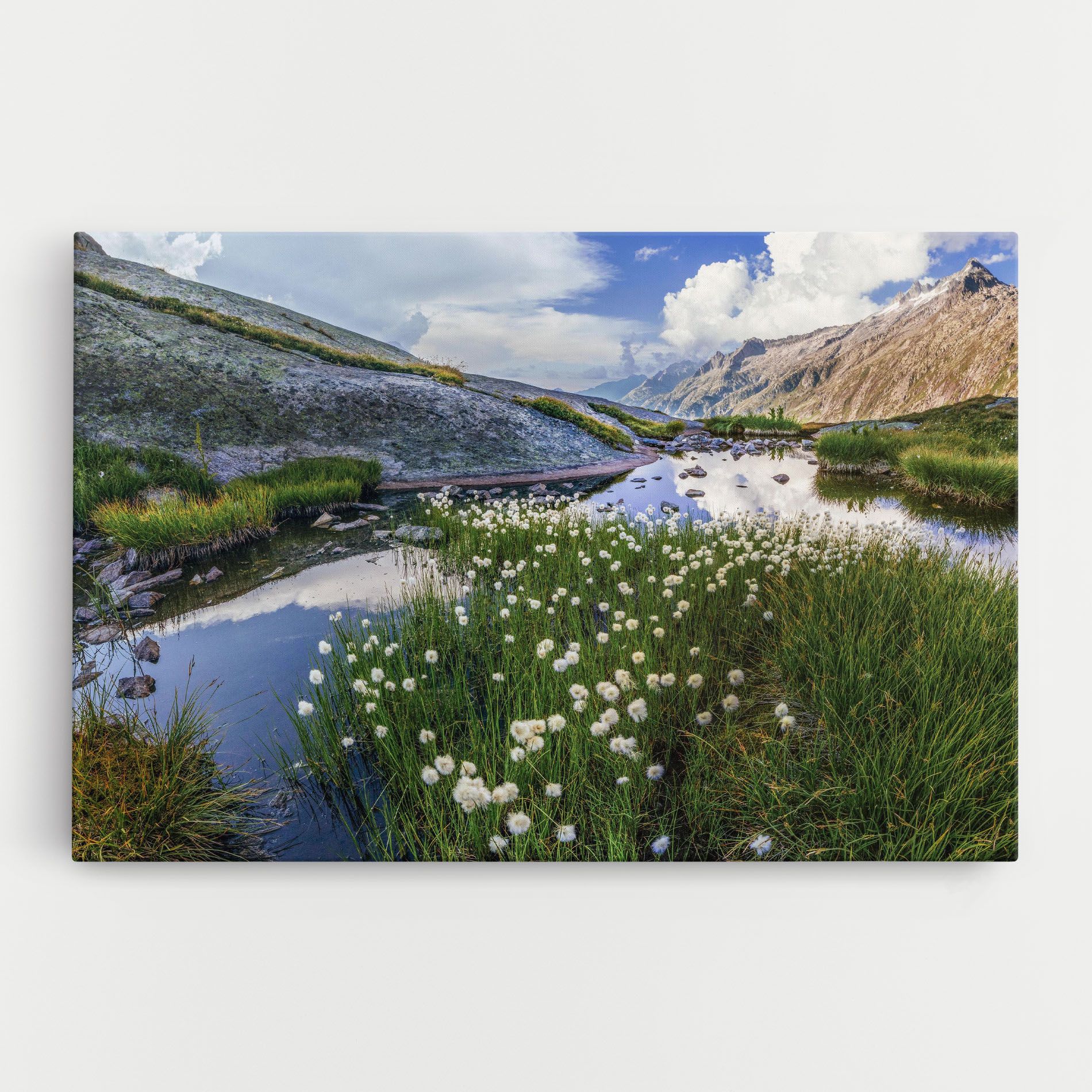 Lake Spring View mockup 0