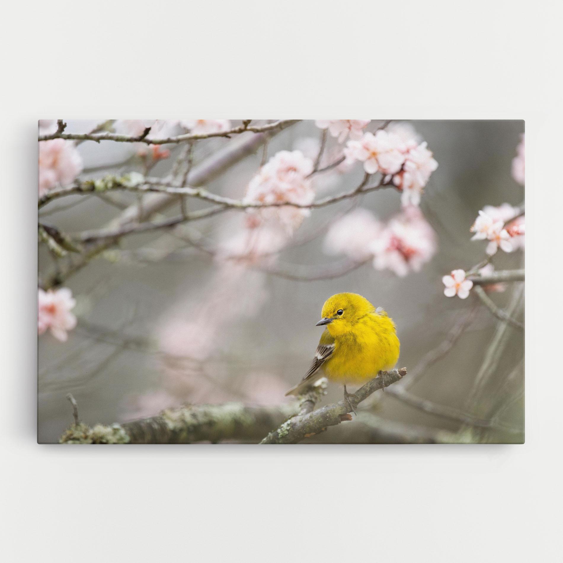 Vászonkép Pretty Spring Yellow Bird mockup 0