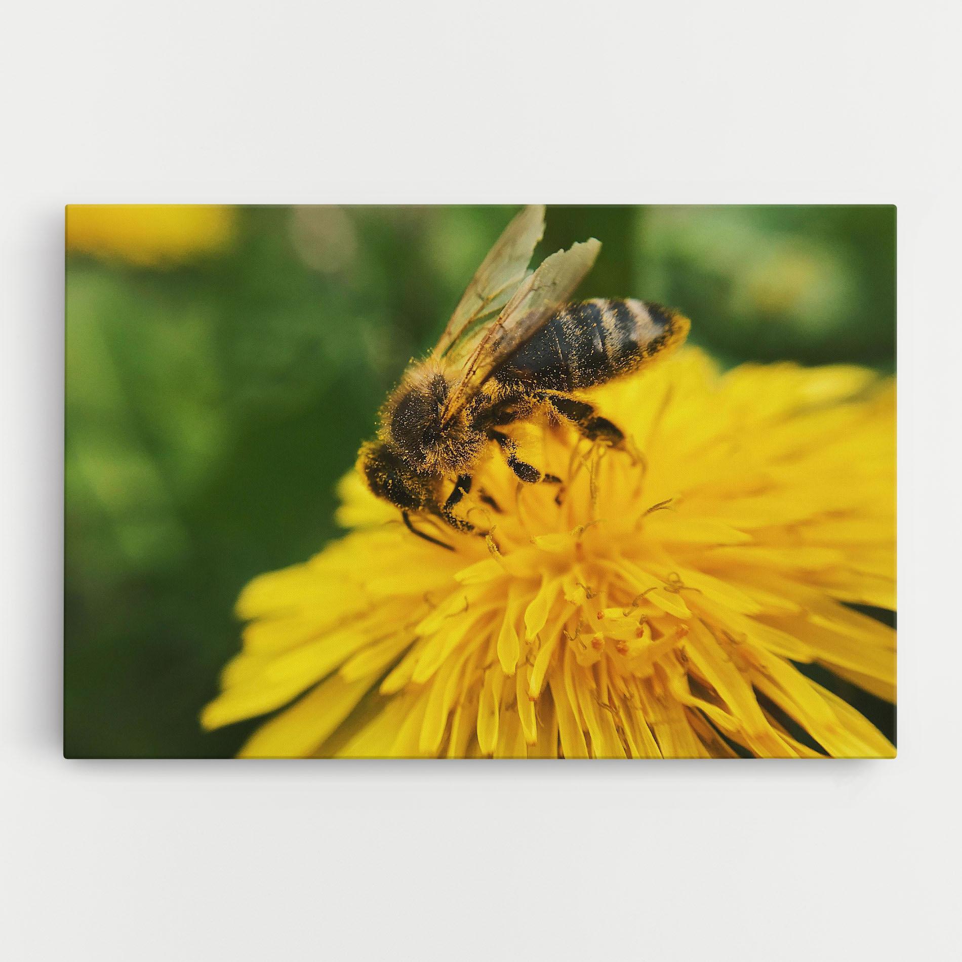 Vászonkép Spring Bee mockup 0