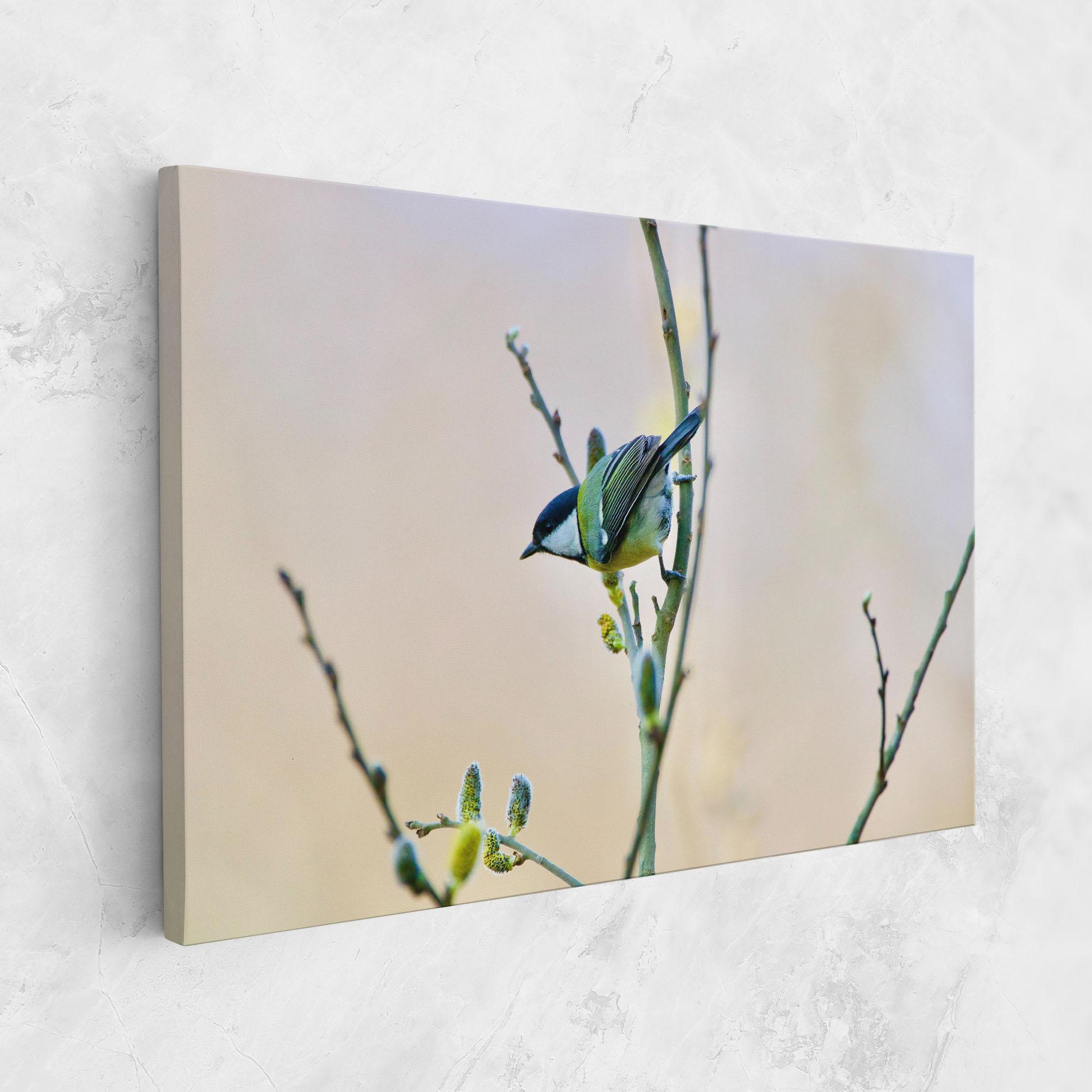 Vászonkép Beautiful Spring Bird mockup 1