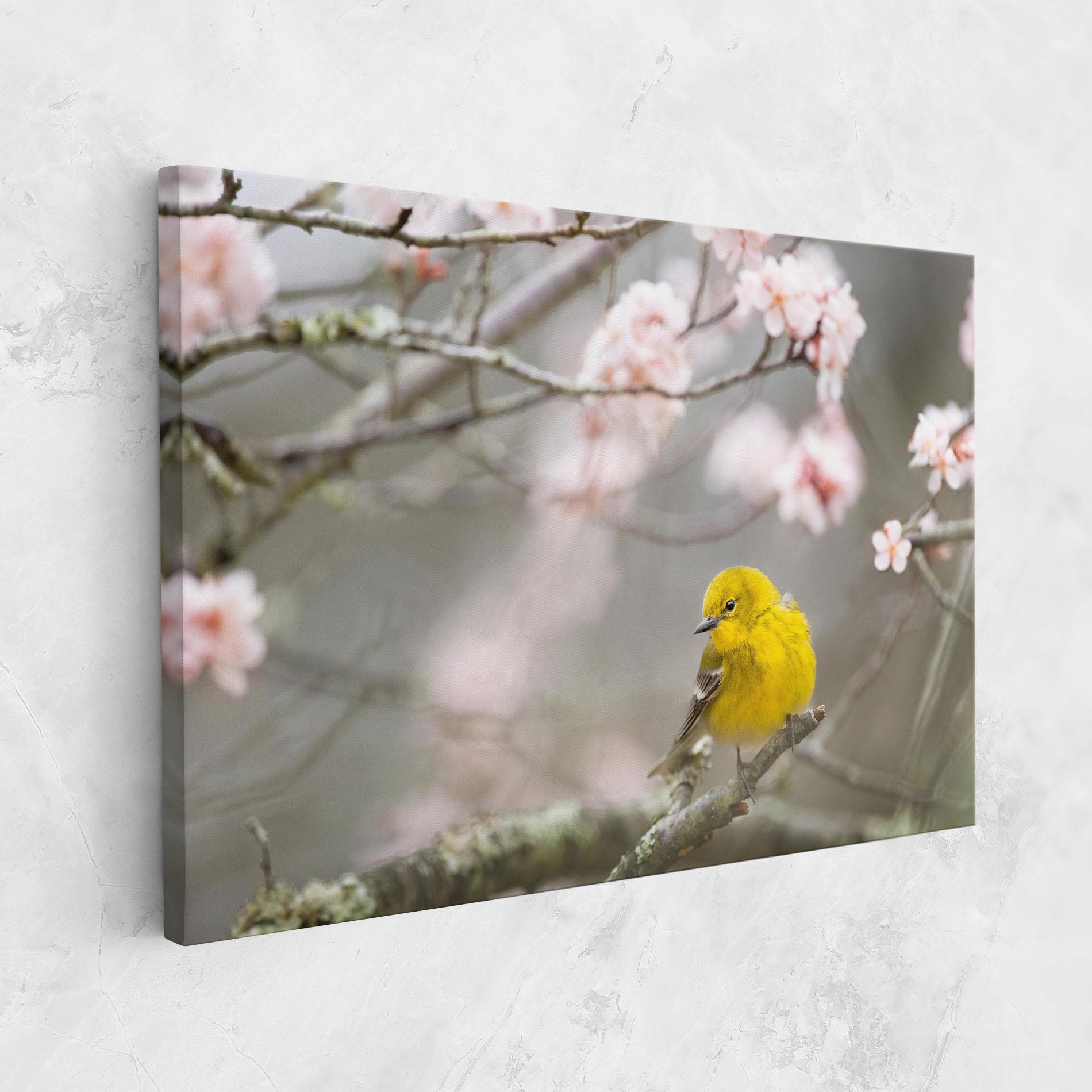 Vászonkép Pretty Spring Yellow Bird mockup 1