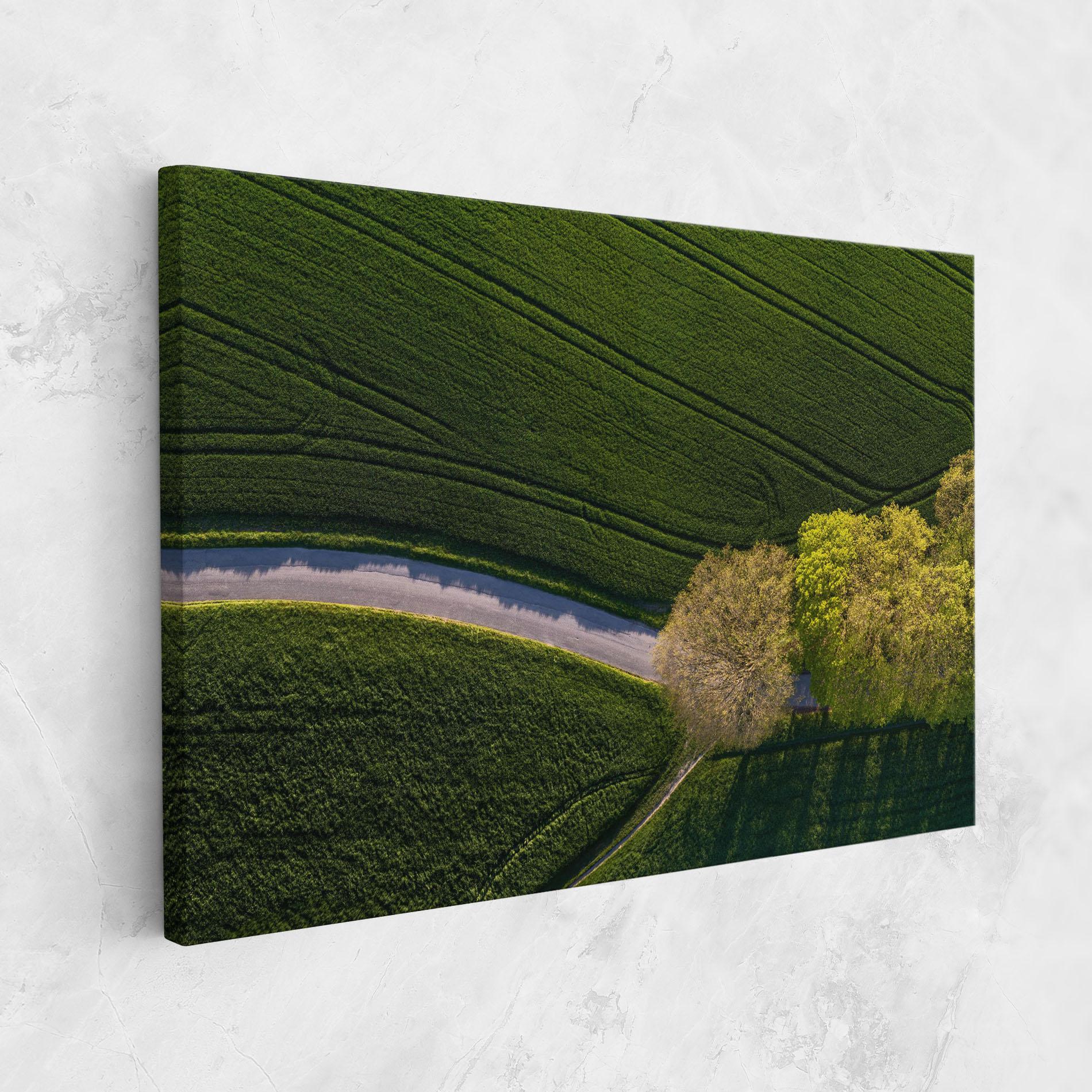 Vászonkép Green Road mockup 1