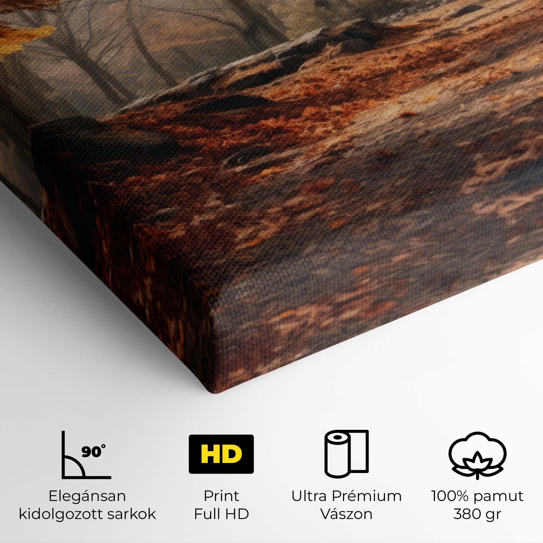 Autumn Forest mockup 4