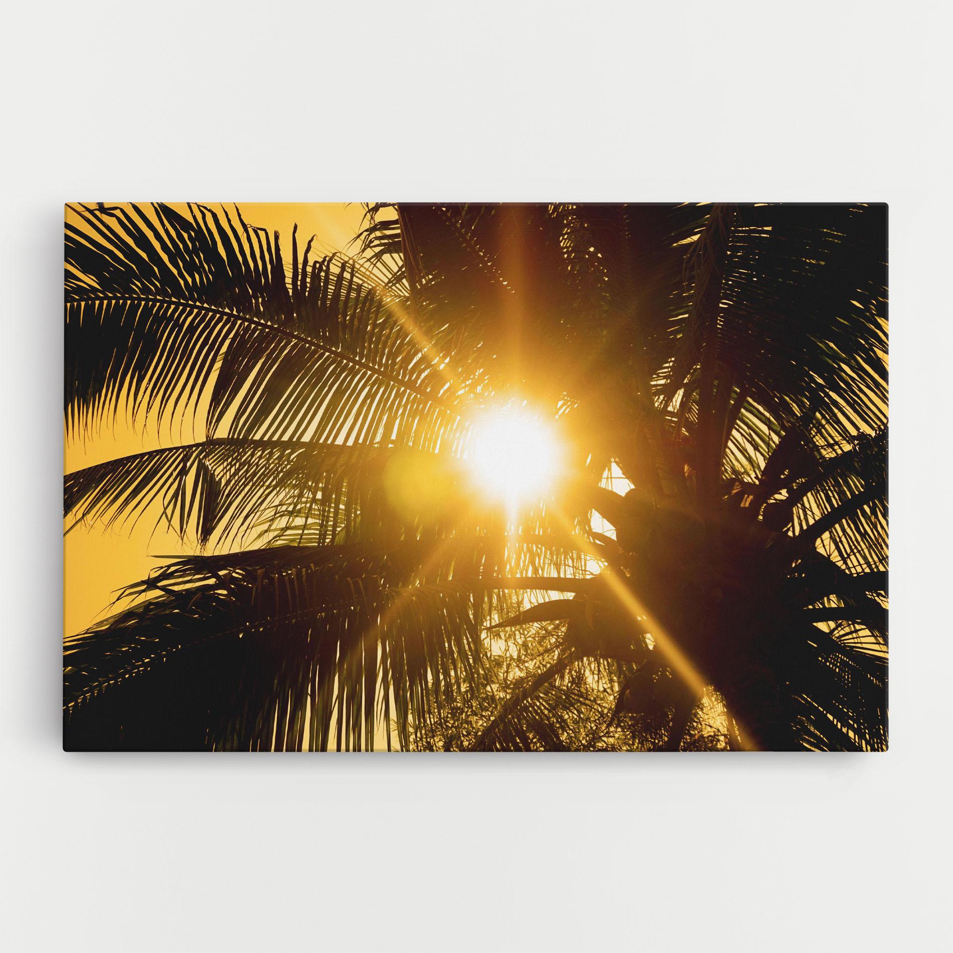 Vászonkép Palm Trees Sun mockup 0