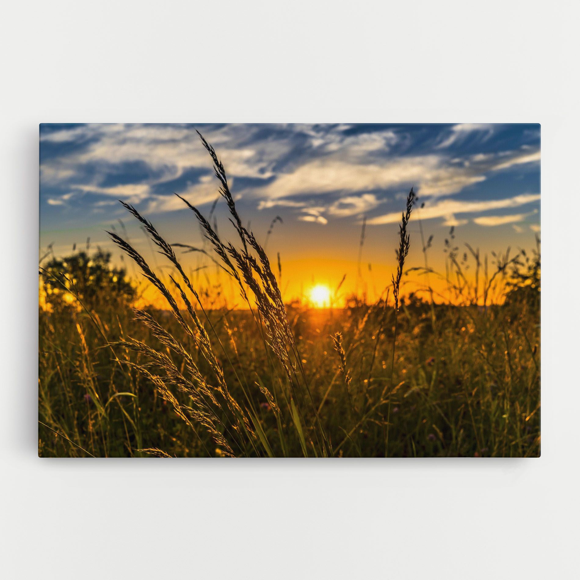 Wheat Sunset mockup 0