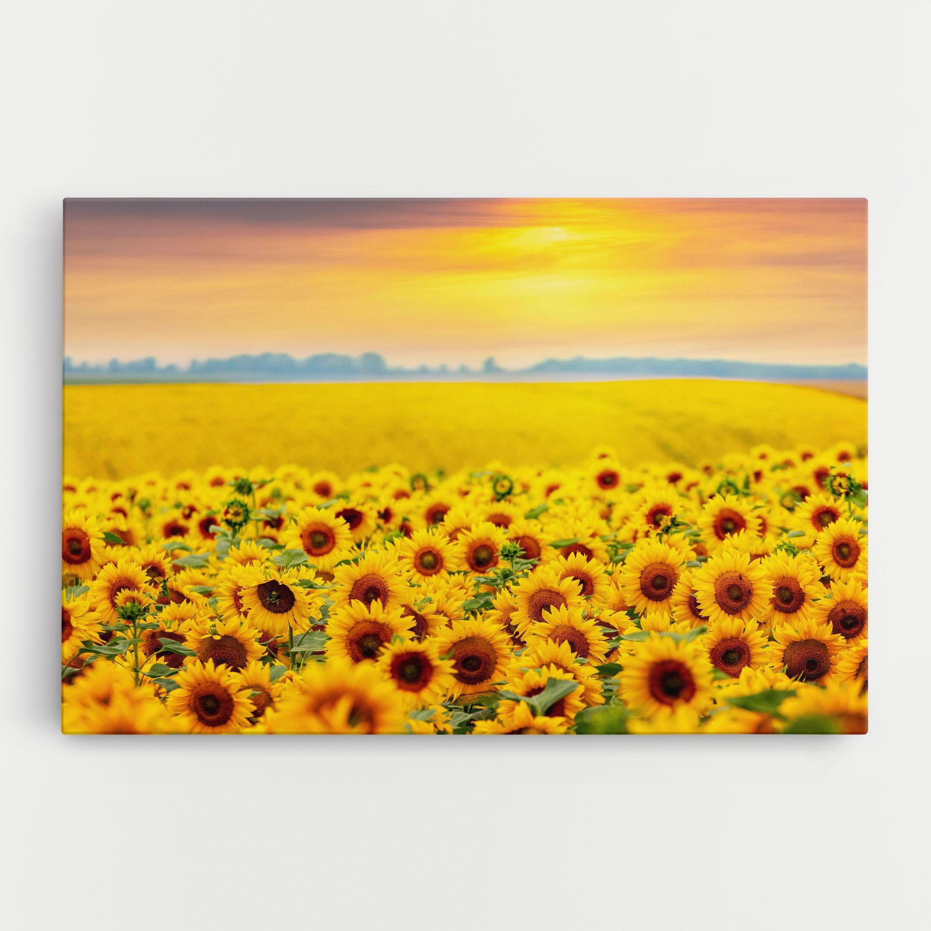 Vászonkép Yellow Sunflowers mockup 0