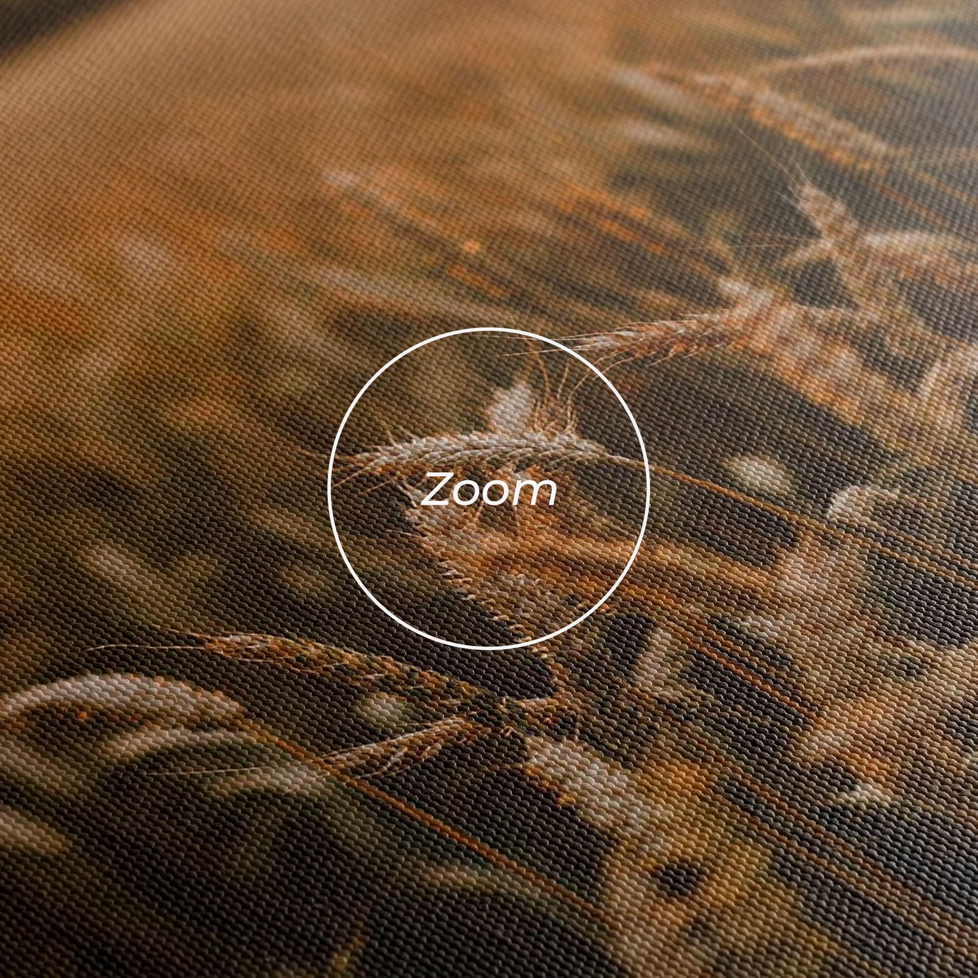 Vászonkép Summer Field mockup 3