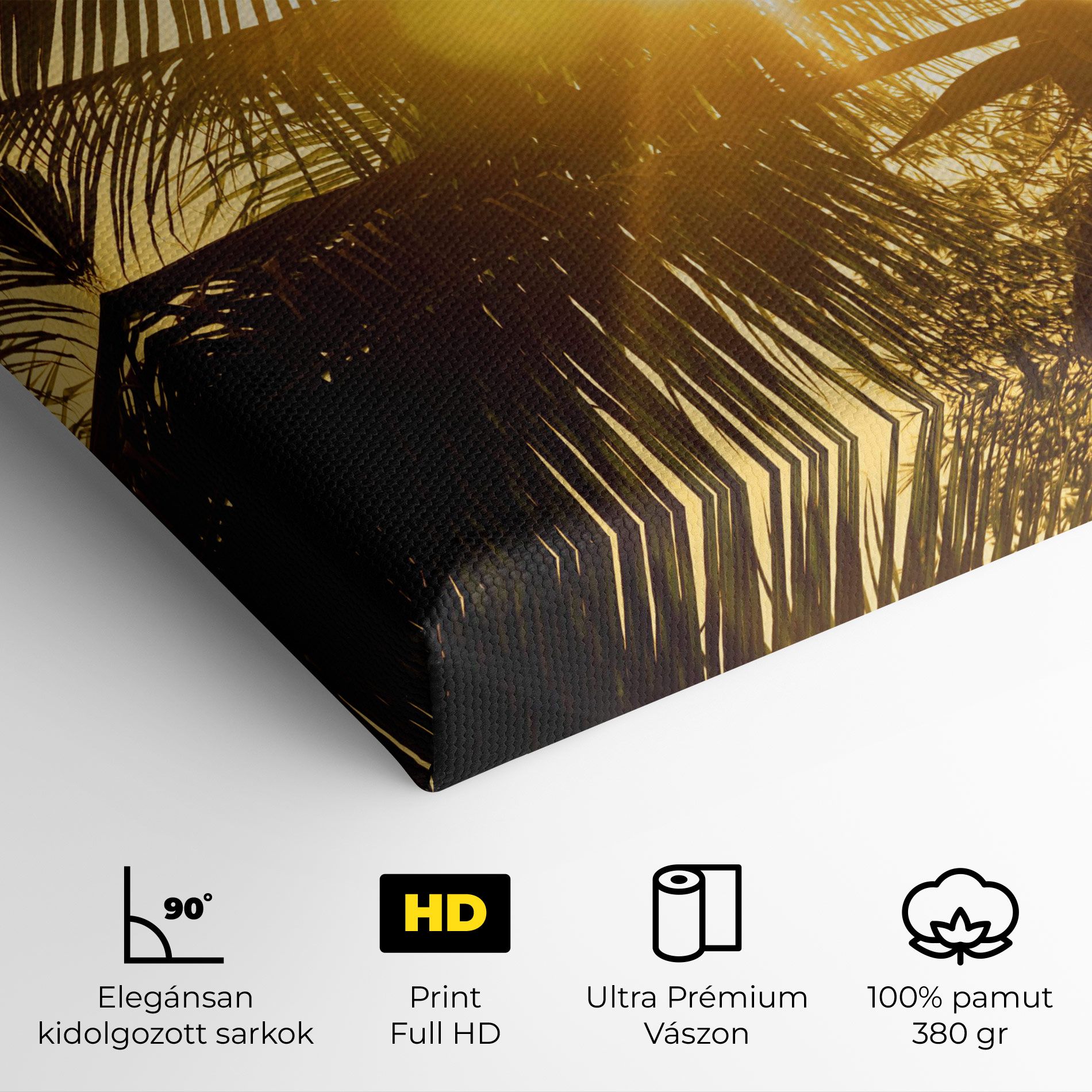 Palm Trees Sun mockup 4