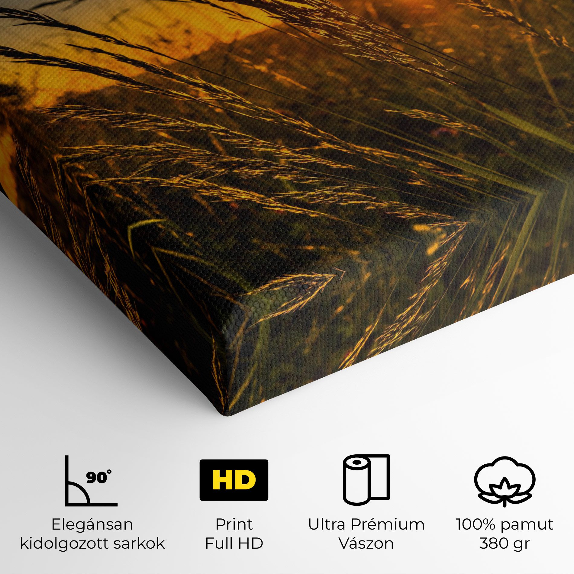 Wheat Sunset mockup 4