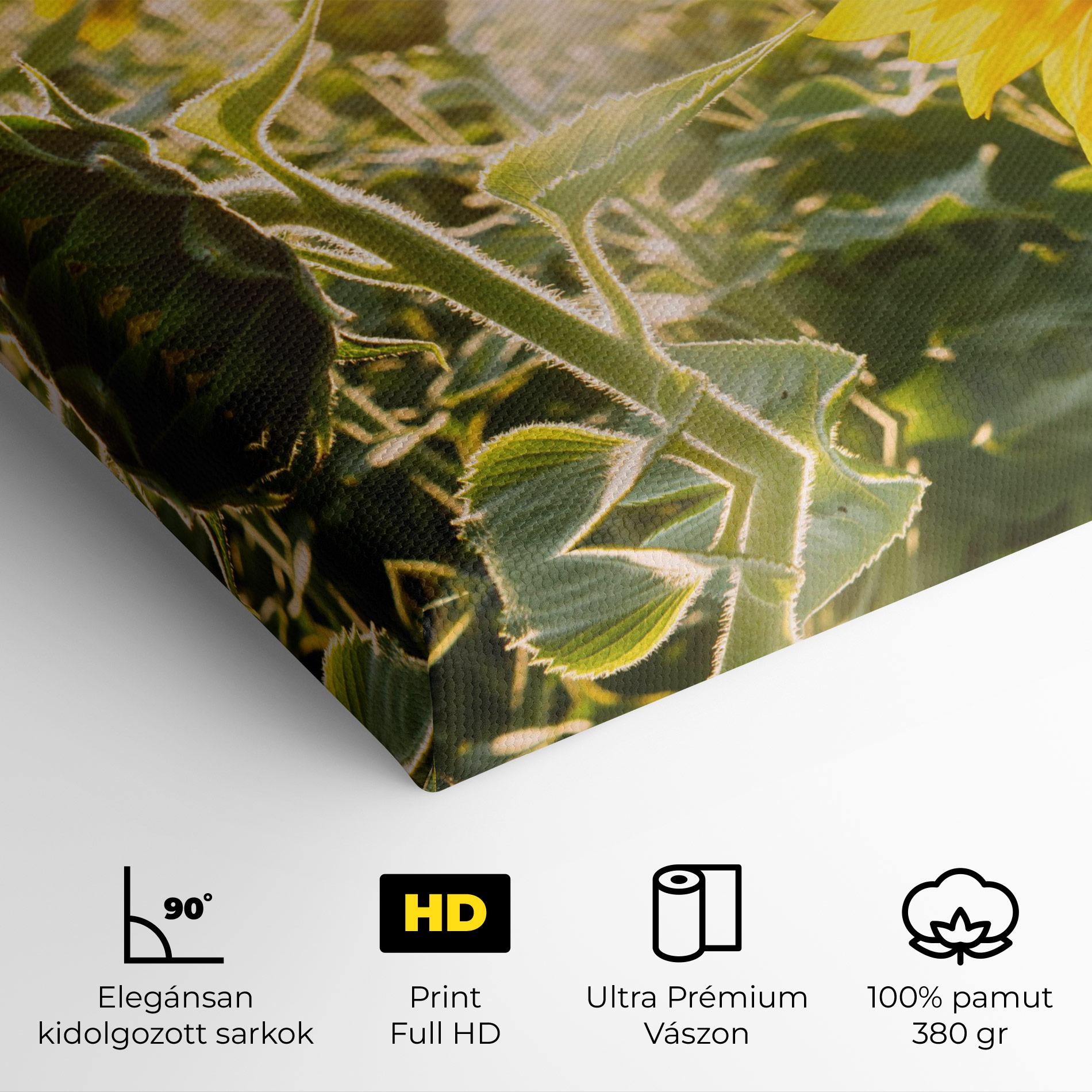 Vászonkép Yellow Sun Flower mockup 4