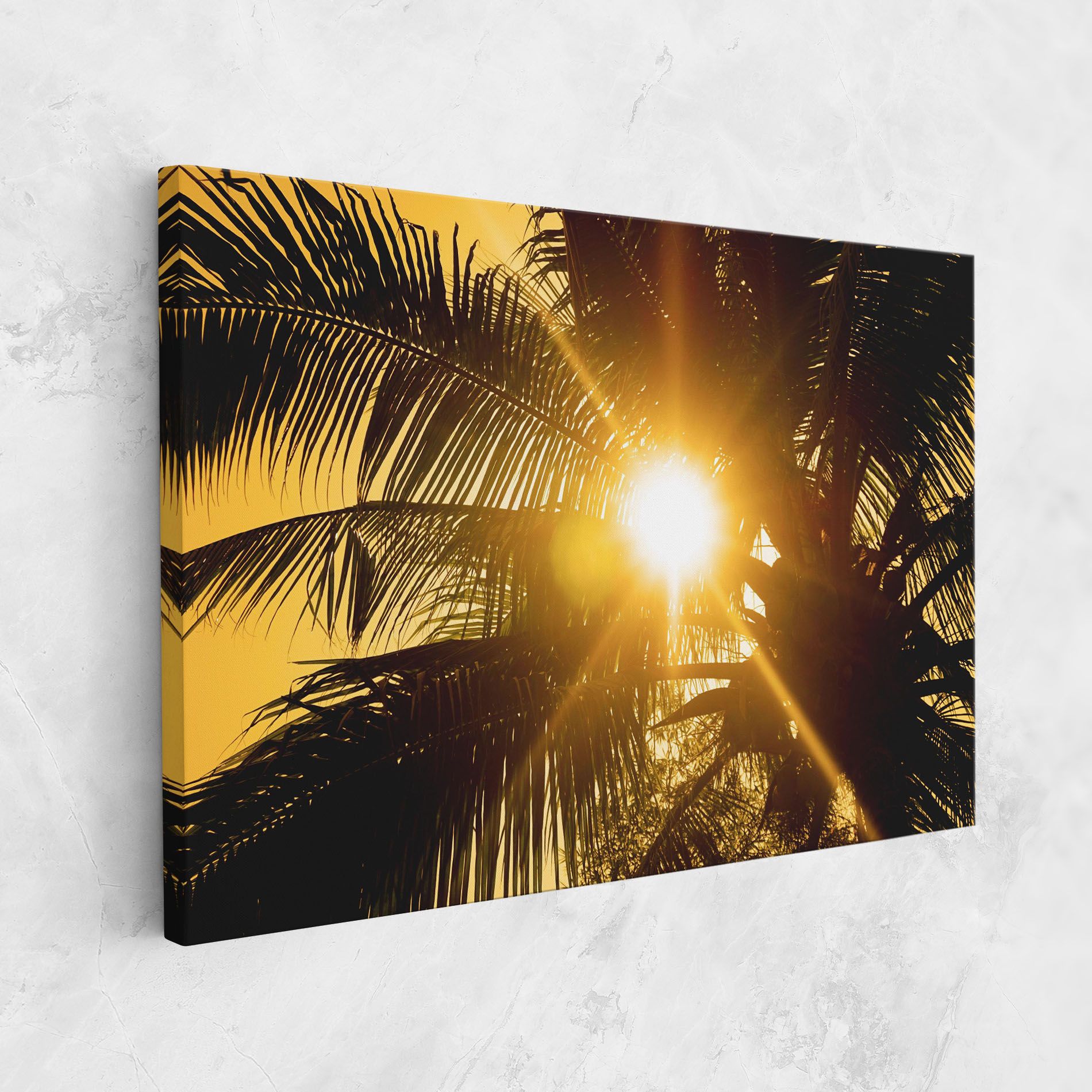 Palm Trees Sun mockup 1
