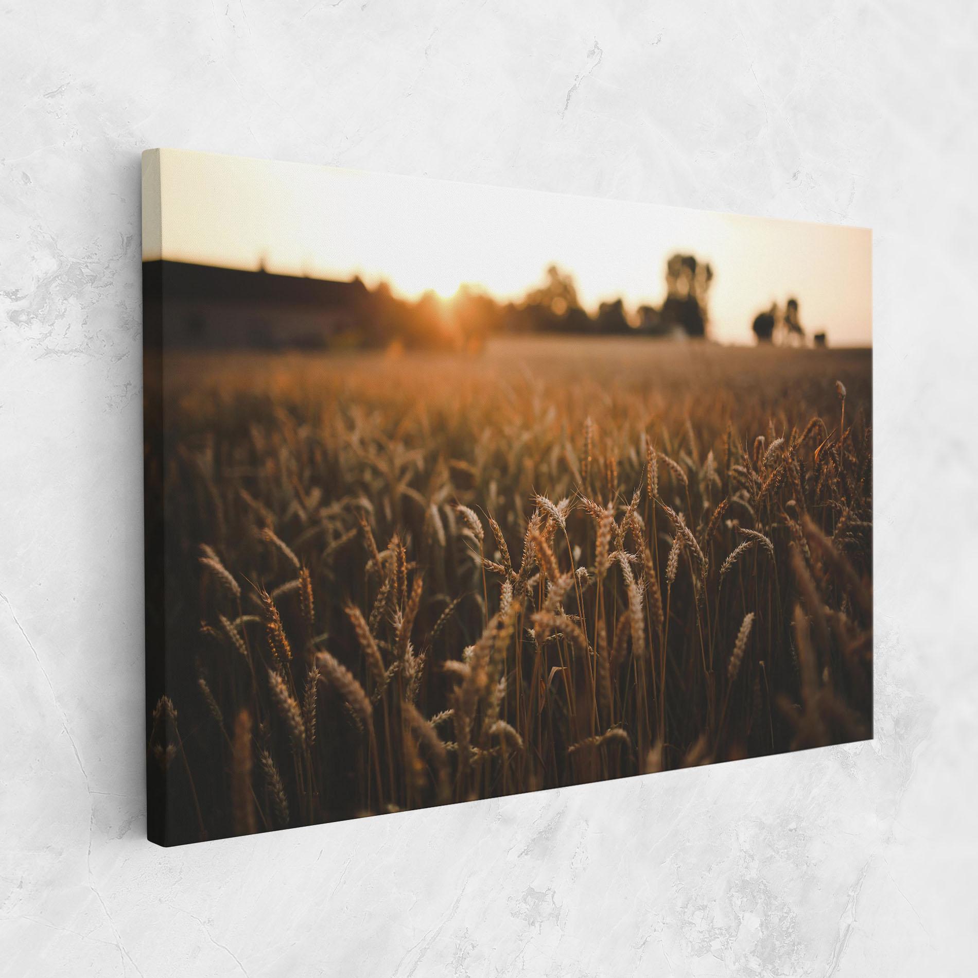 Vászonkép Summer Field mockup 1