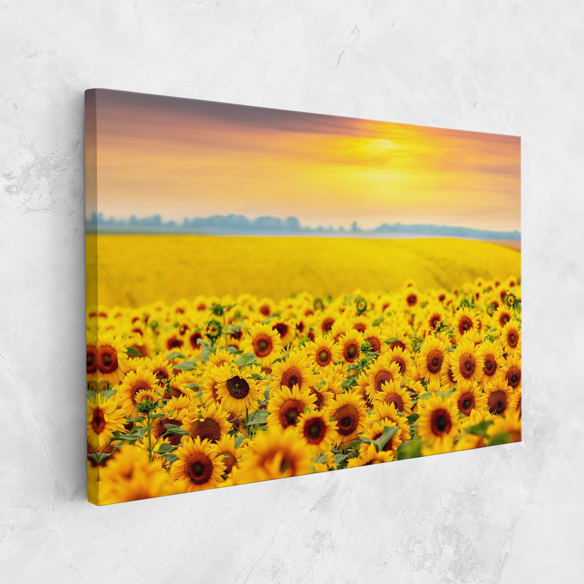 Vászonkép Yellow Sunflowers mockup 1