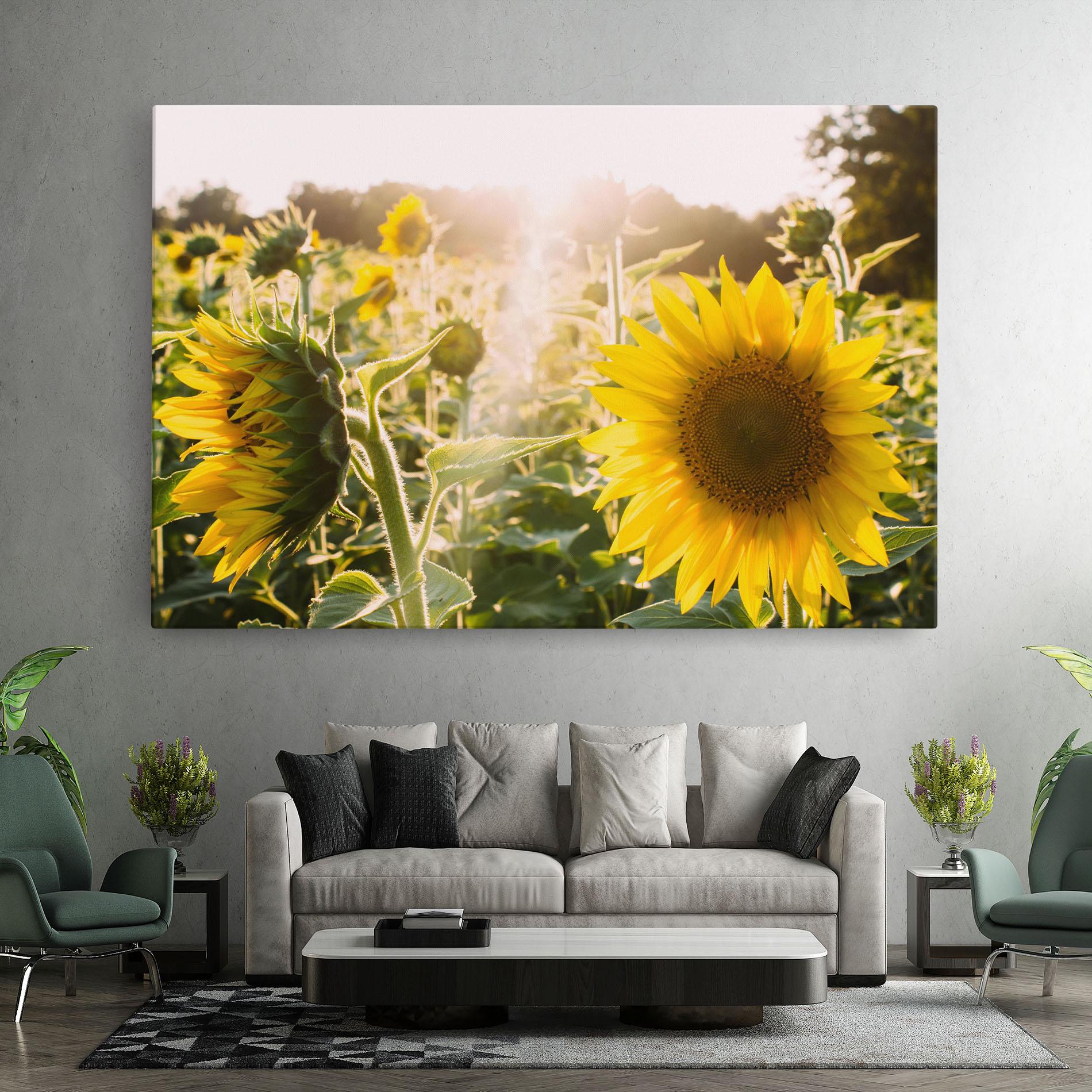 Vászonkép Yellow Sun Flower mockup 7