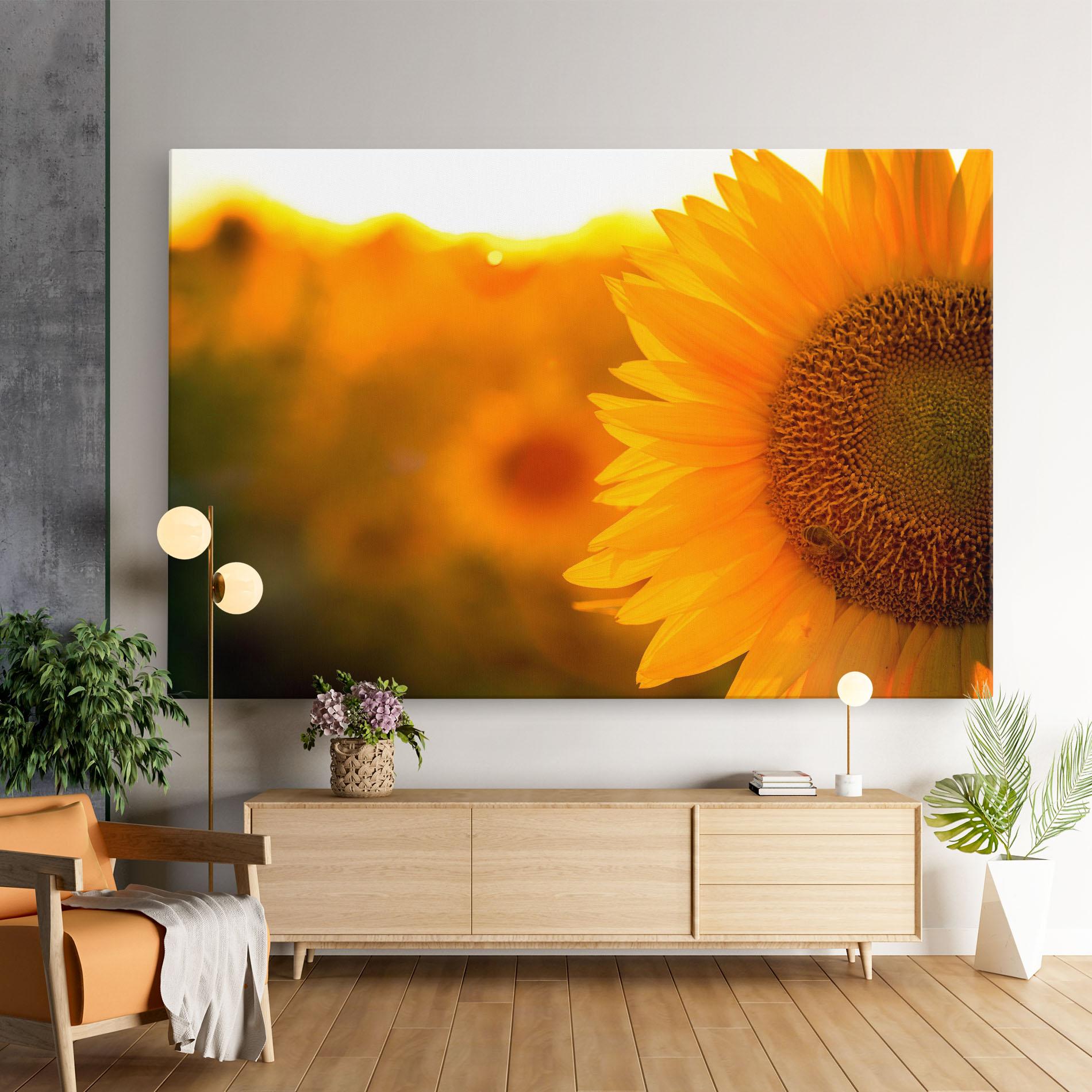 Vászonkép Sunflower mockup 9