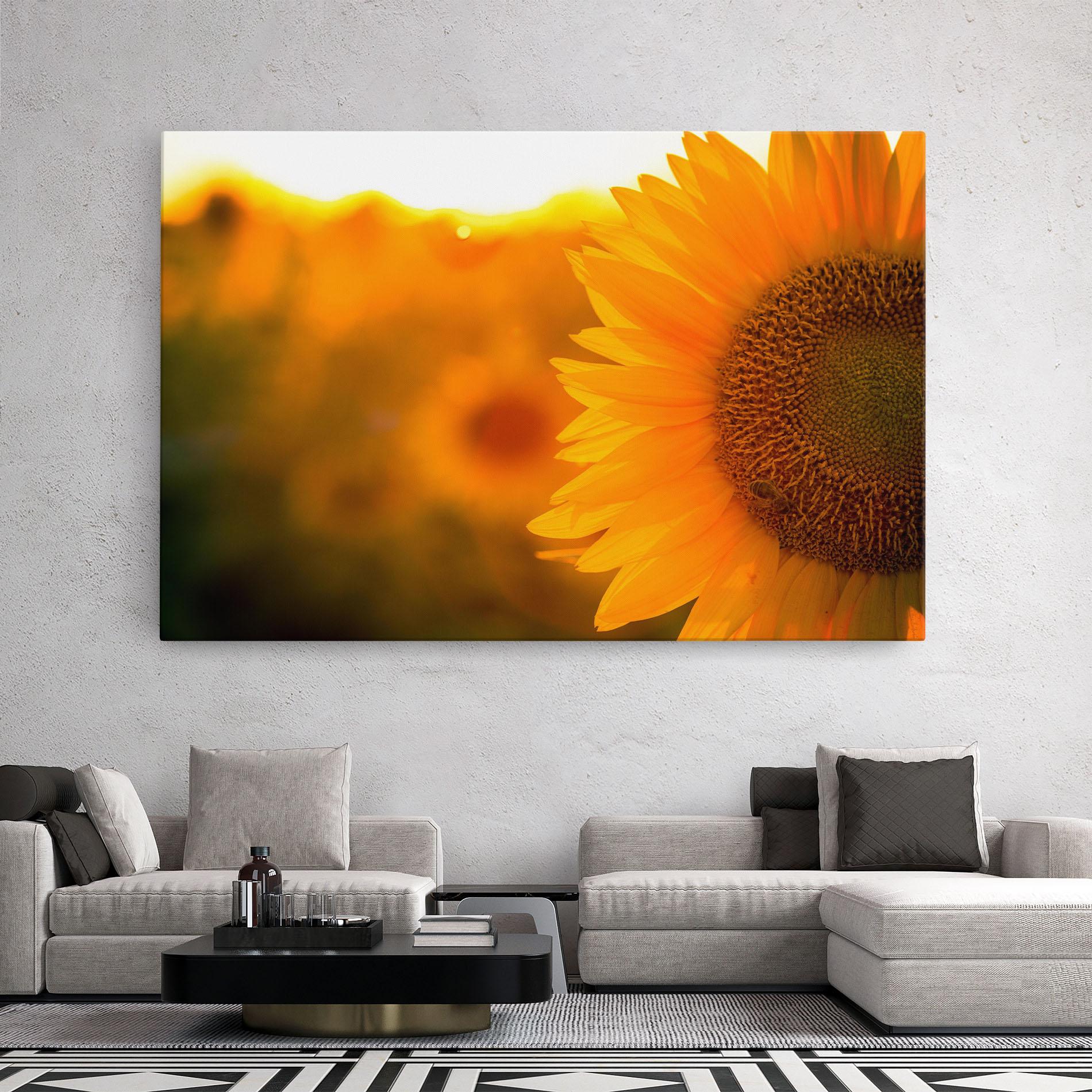 Vászonkép Sunflower mockup 2