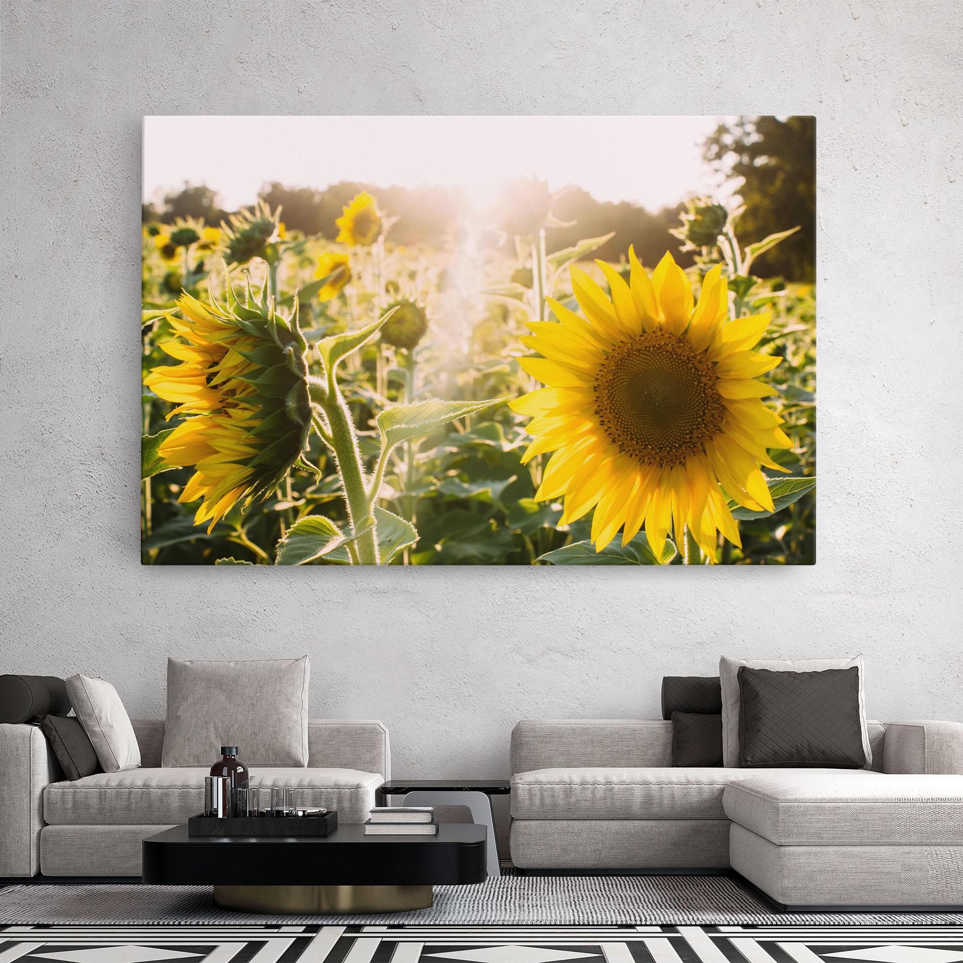 Vászonkép Yellow Sun Flower mockup 2