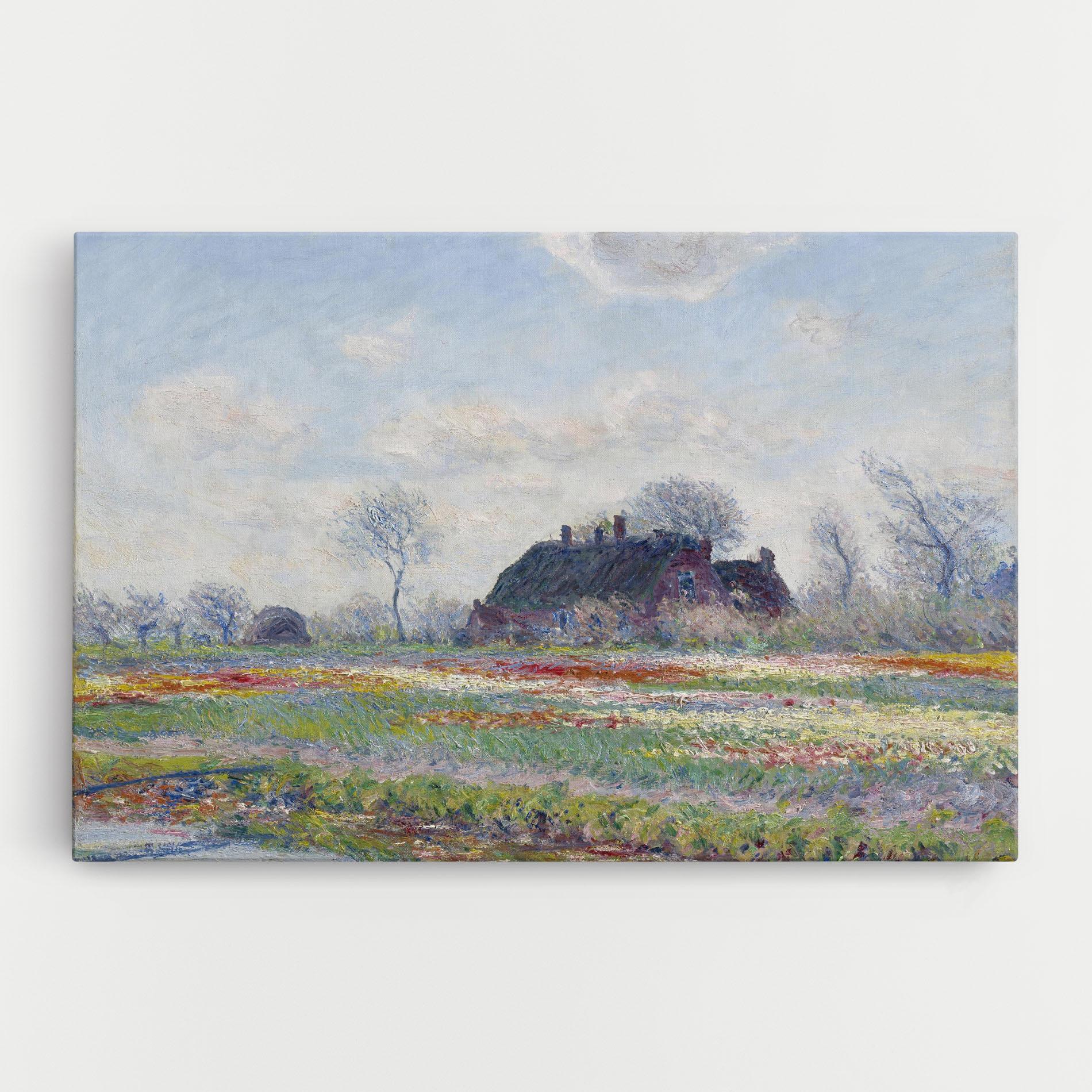 Vászonkép Tulip Fields At Sassenheim mockup 0