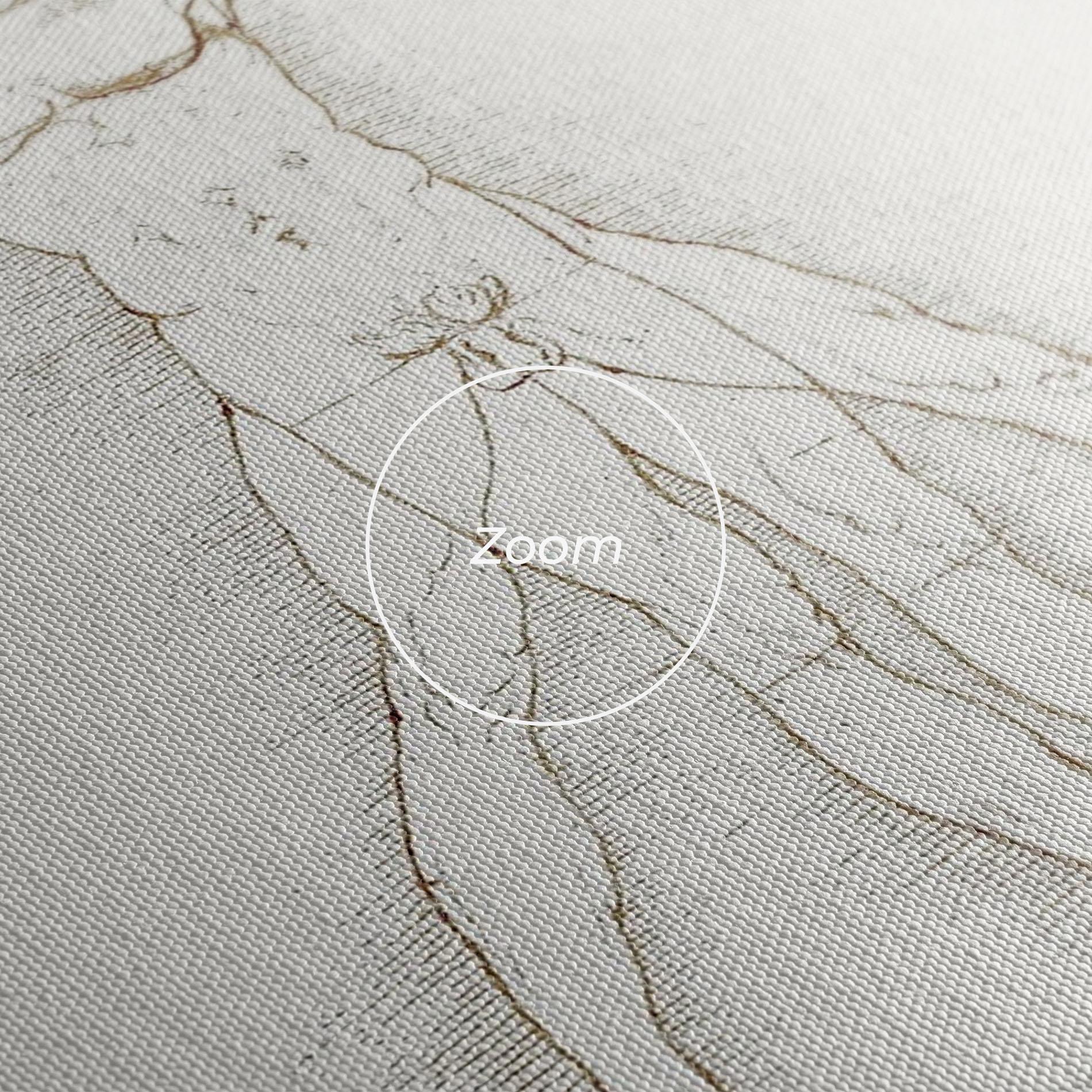 Vászonkép Leonardo Da Vinci's Vitruvian Man mockup 3