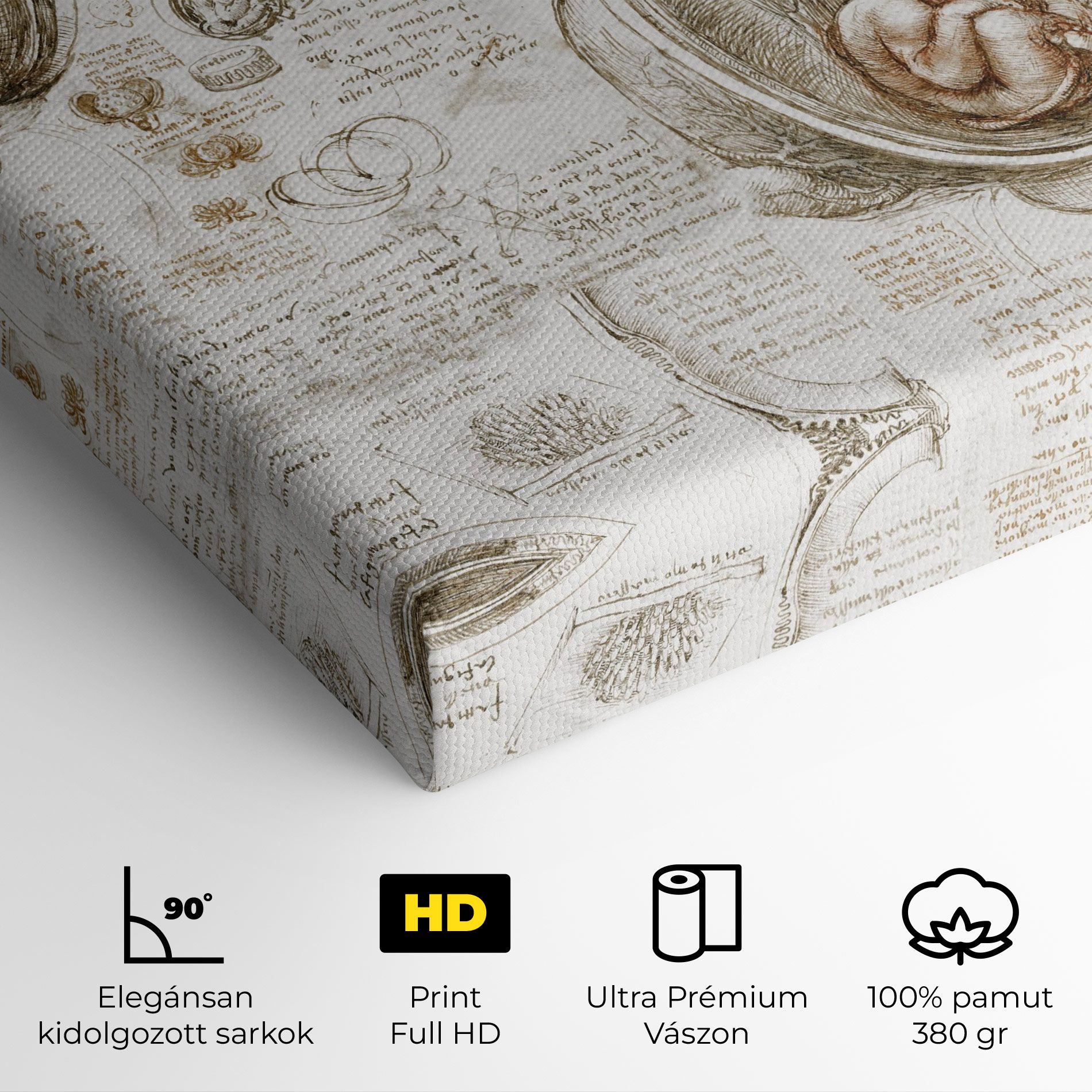 Leonardo Studies Of The Foetus mockup 4