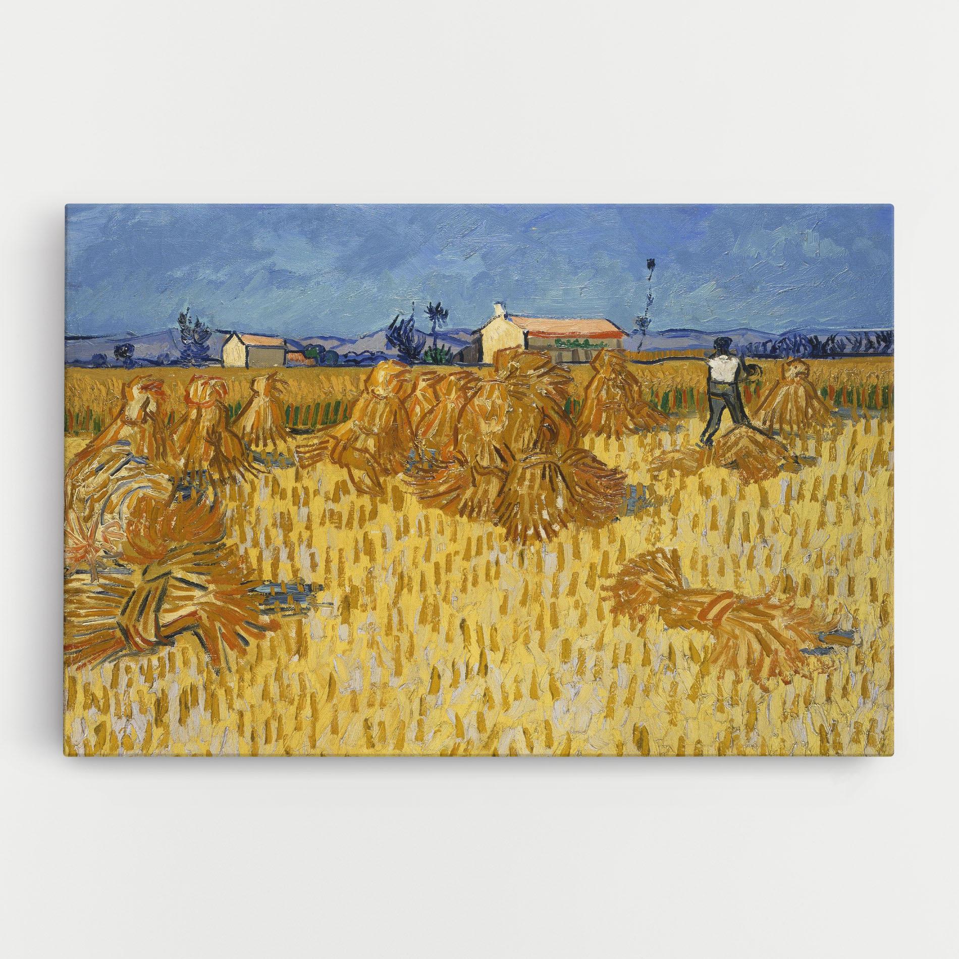 Vászonkép Corn Harvest mockup 0