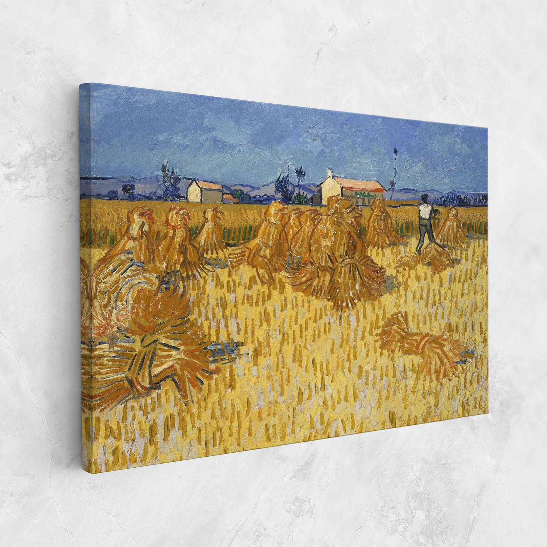 Vászonkép Corn Harvest mockup 1