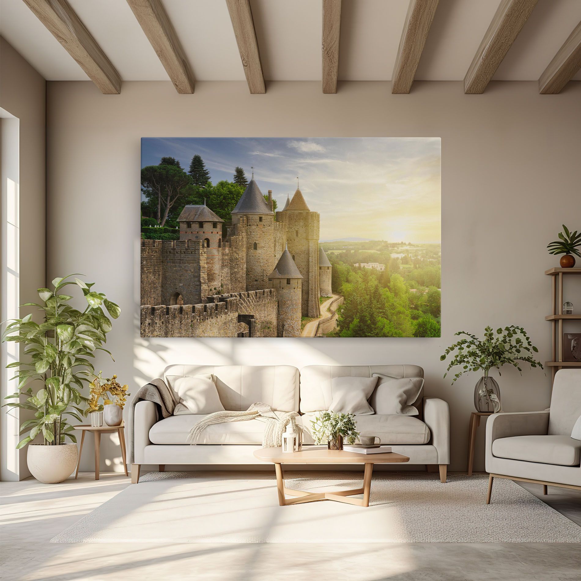 Carcassonne France mockup 6