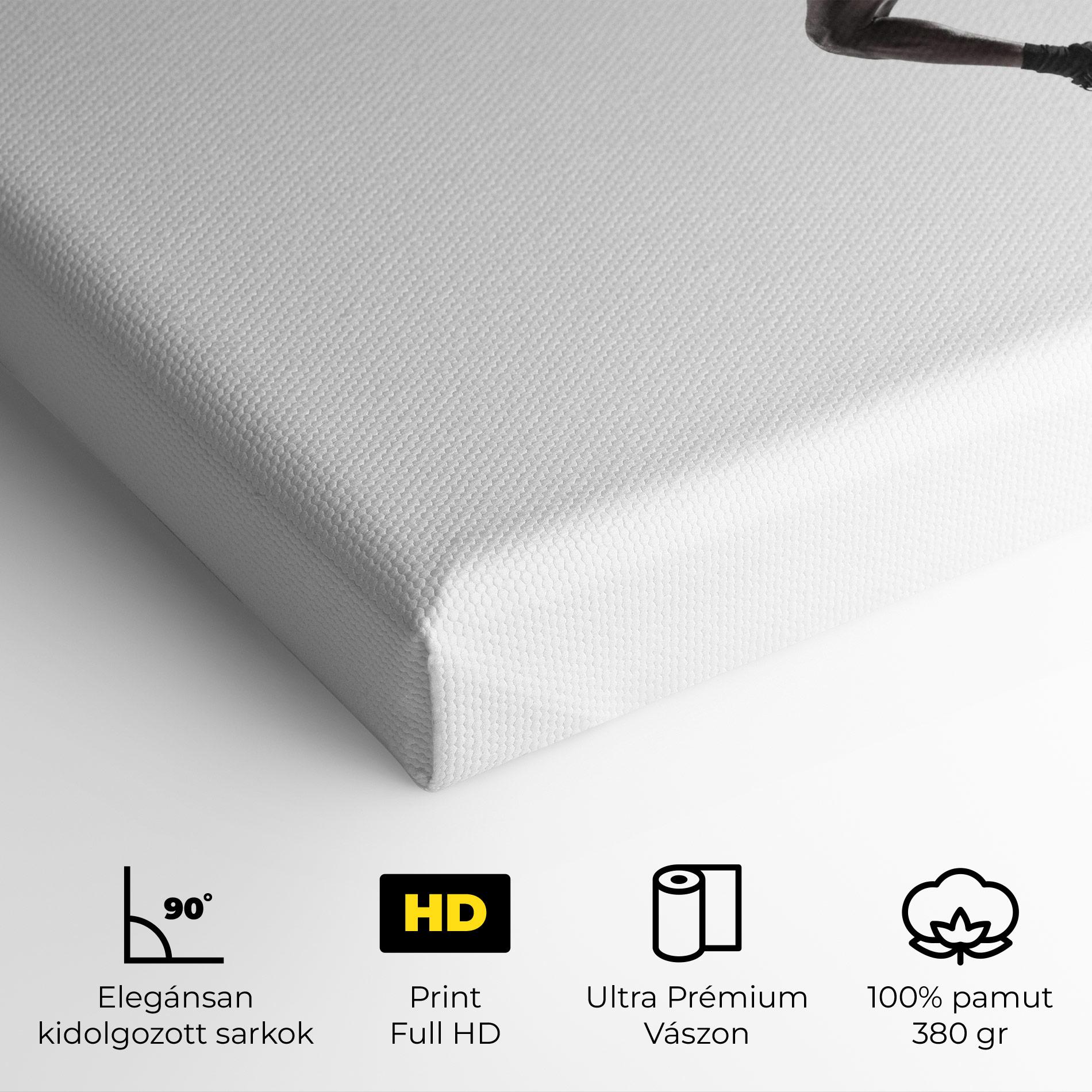 Vászonkép Basketball Player Flying mockup 4