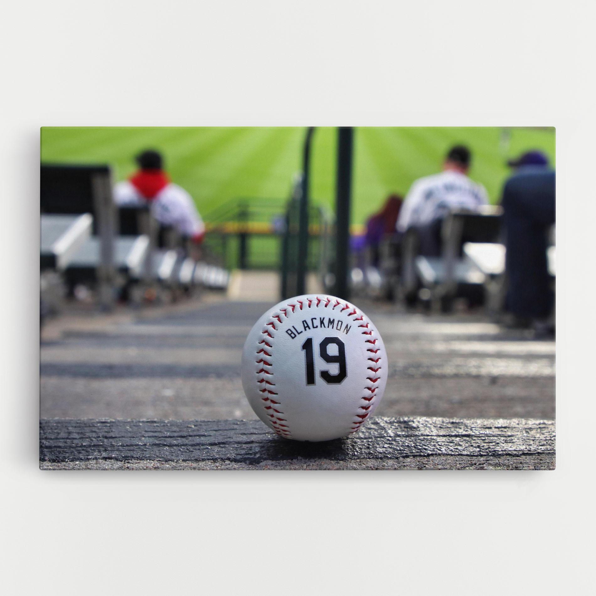Vászonkép Baseball Nr 19 mockup 0