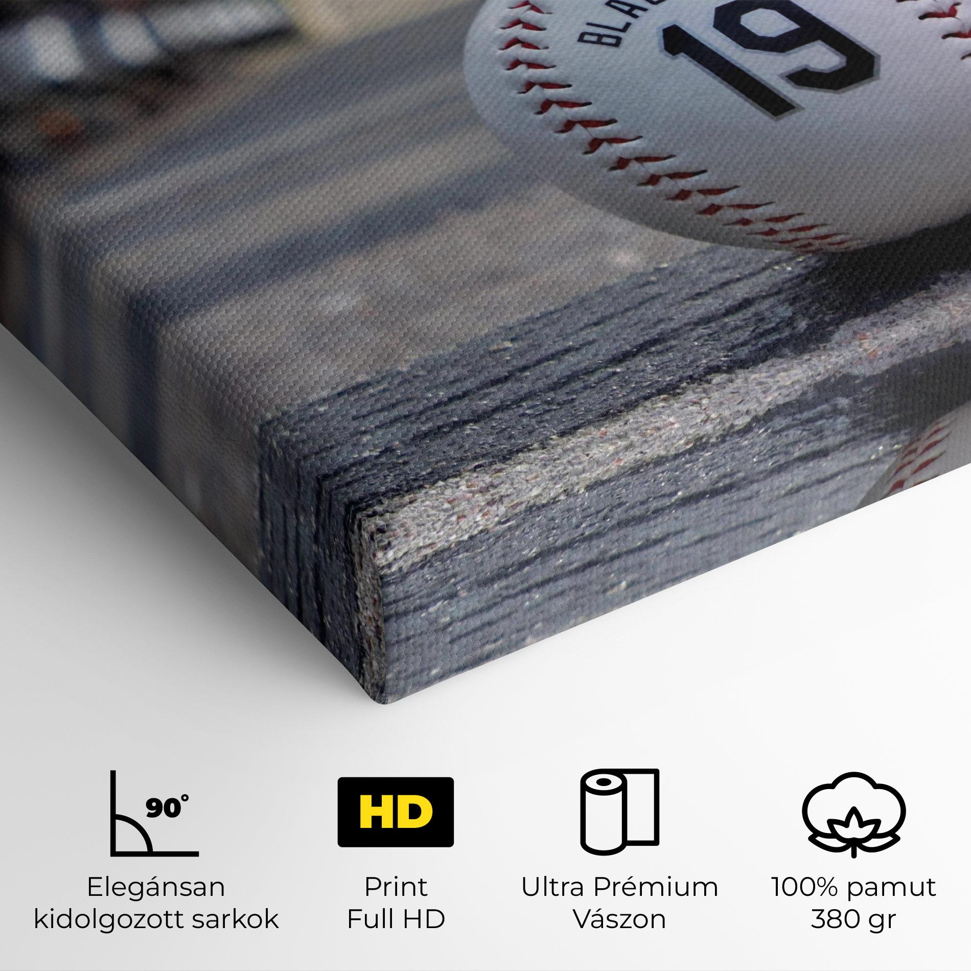 Vászonkép Baseball Nr 19 mockup 4