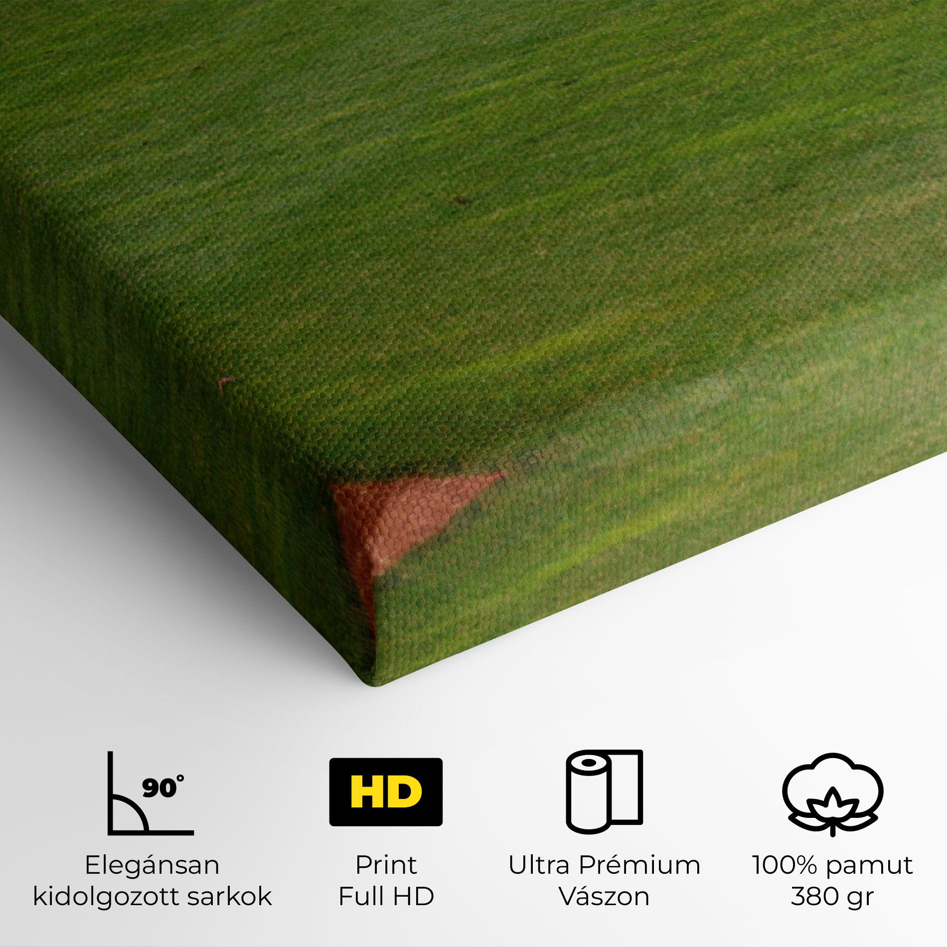 Vászonkép Baseball Player mockup 4