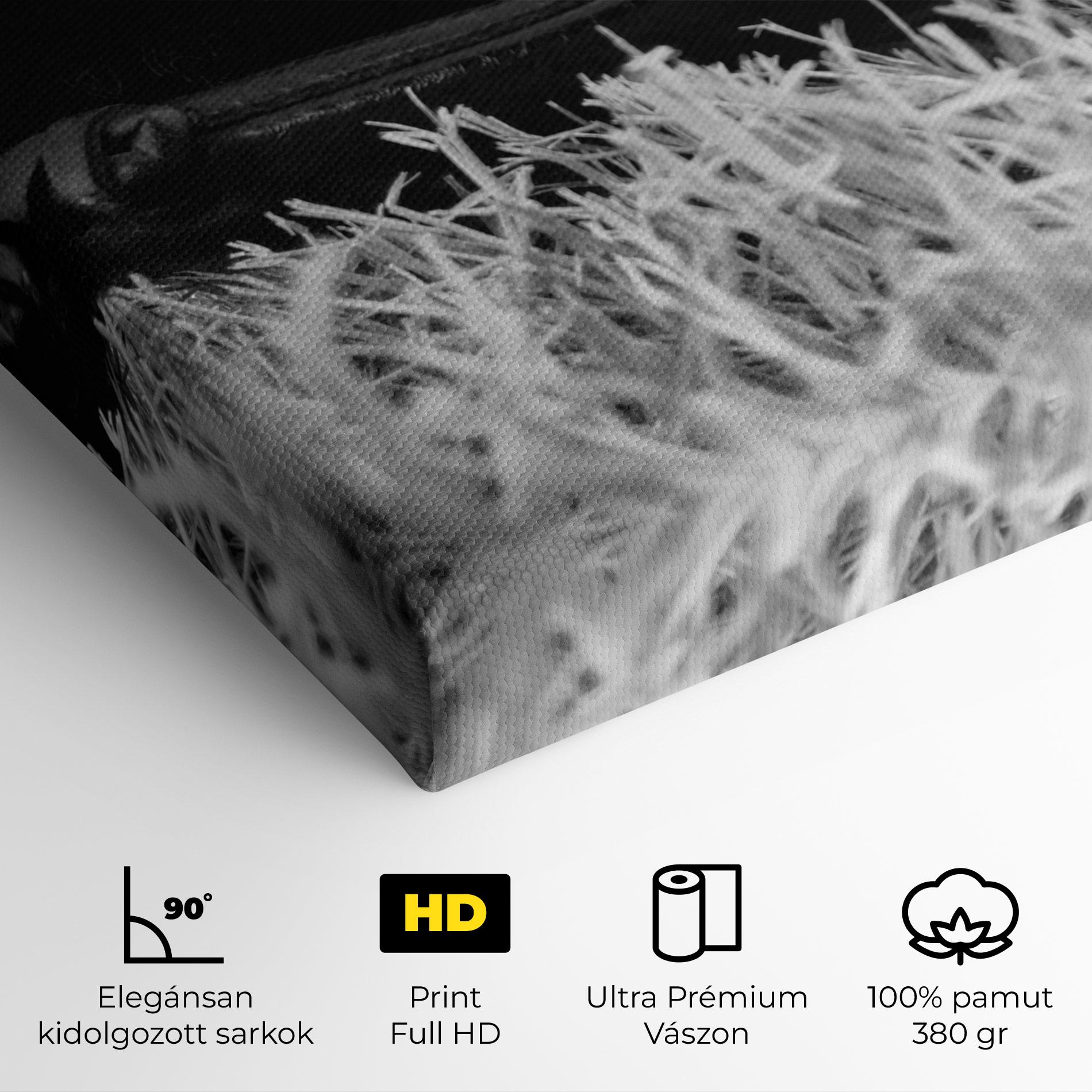 Vászonkép Black Baseball Glove mockup 4