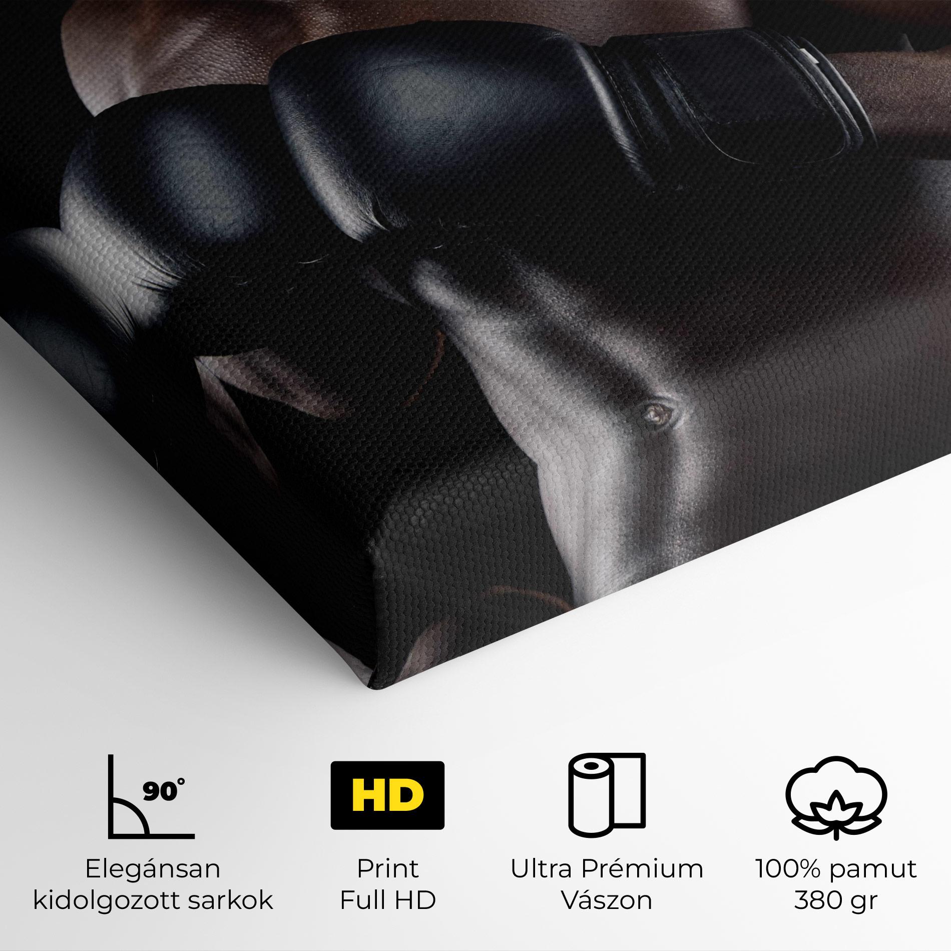 Vászonkép Powerful Fighter mockup 4