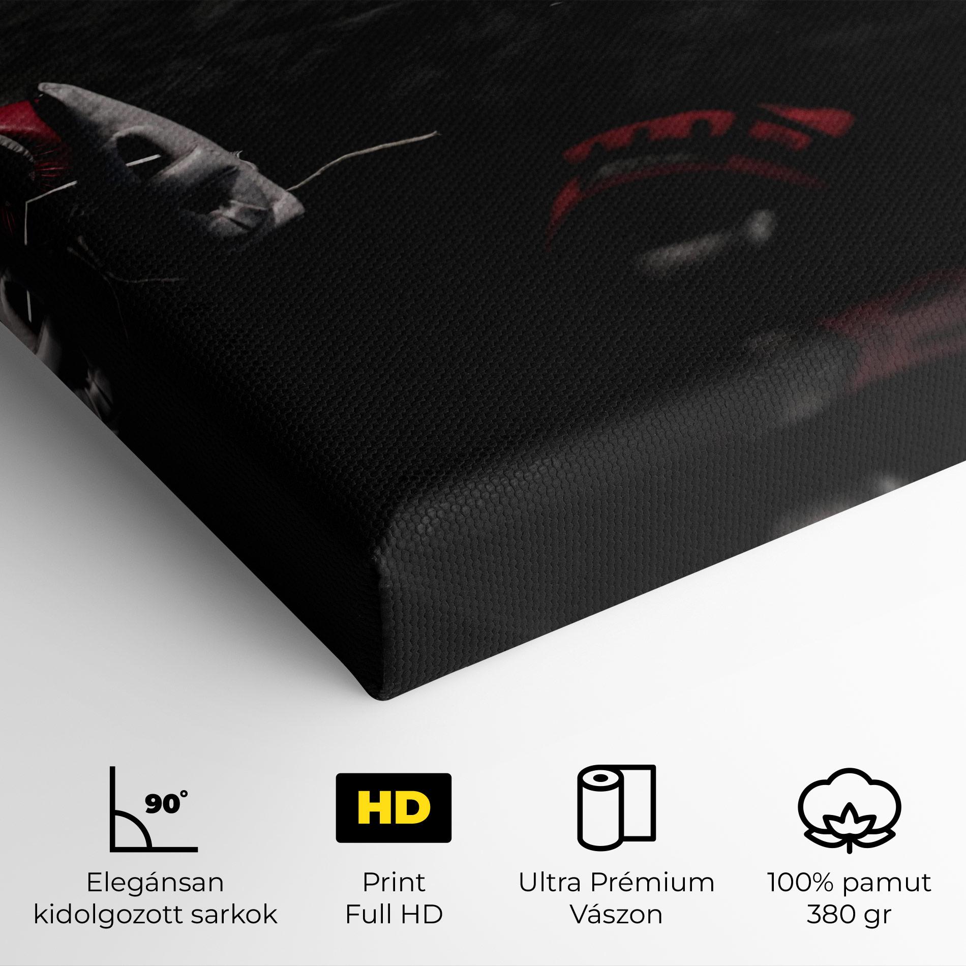 Vászonkép Ring Gloves mockup 4