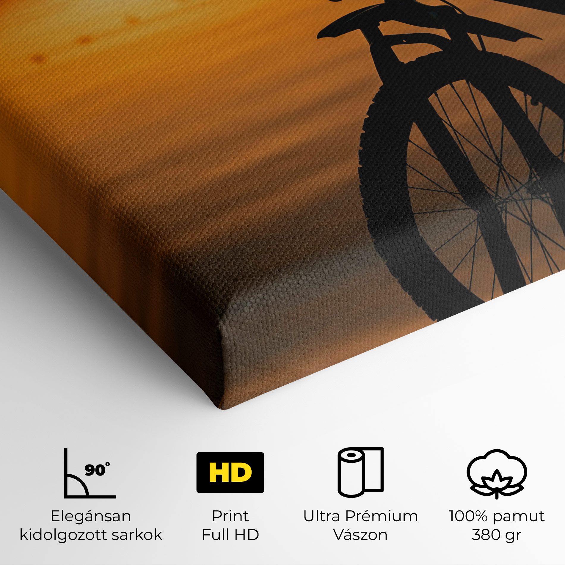 Sunset Lake Bike mockup 4