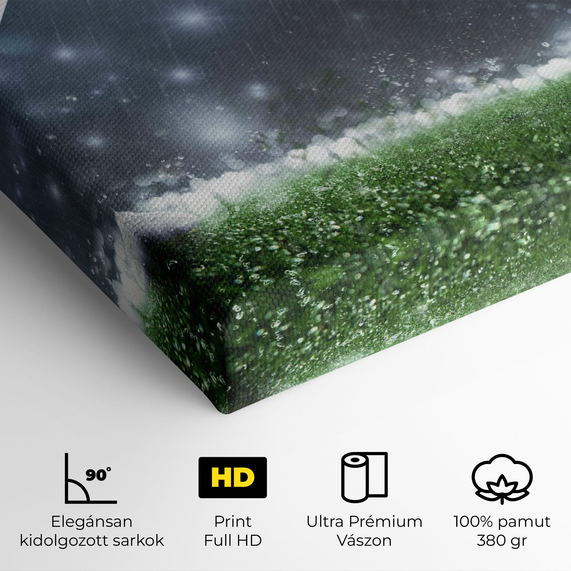 Vászonkép Close Up Football Scene mockup 4