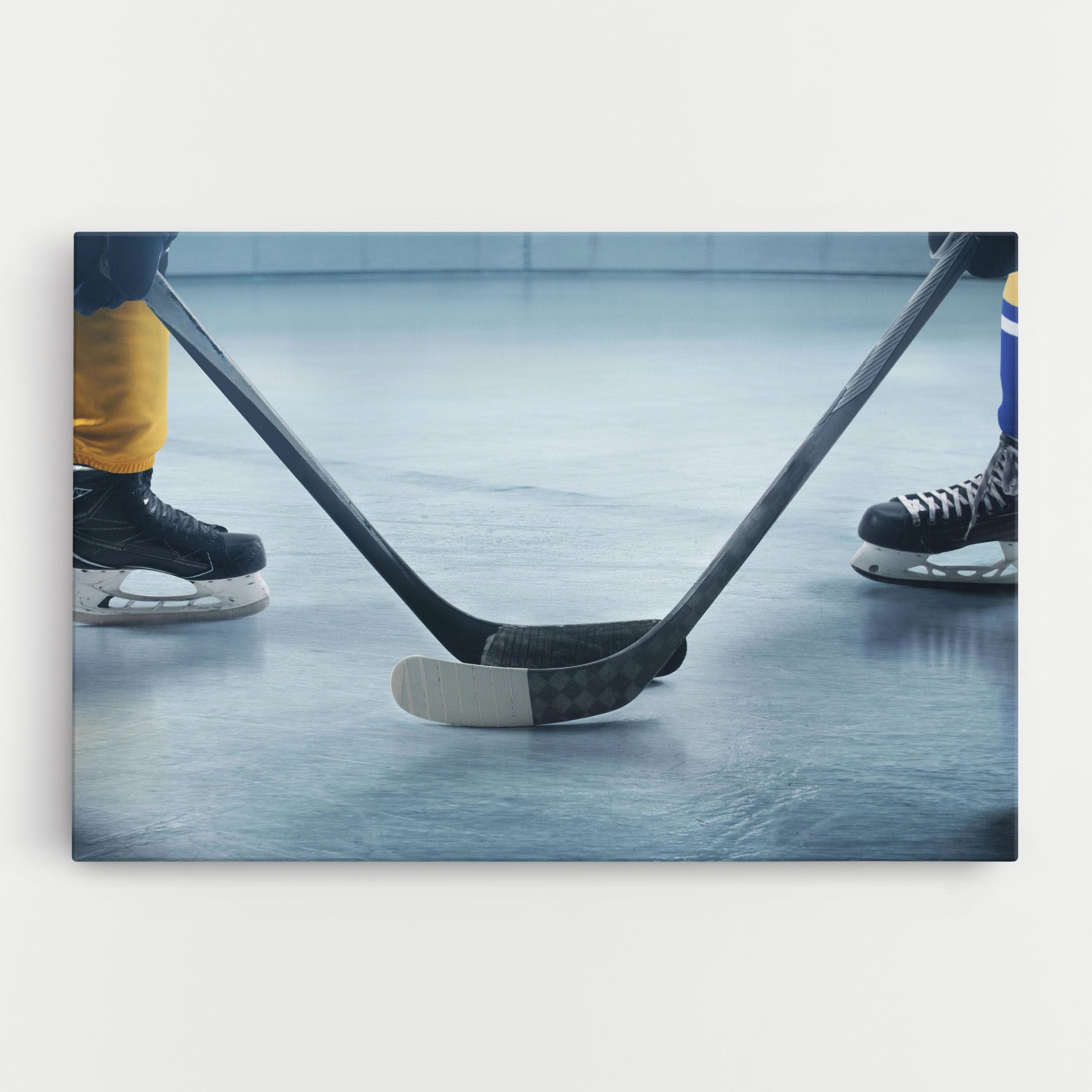 Ice Insight mockup 0