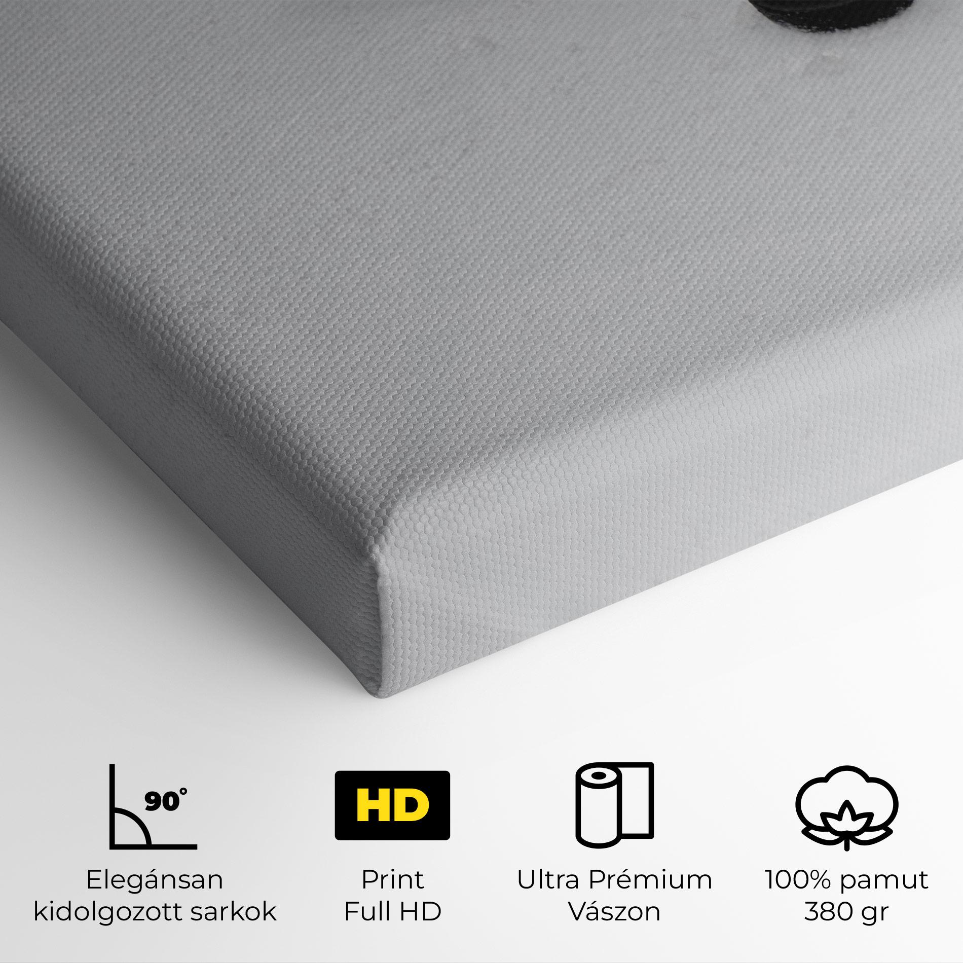 Vászonkép Hockey Puck mockup 4