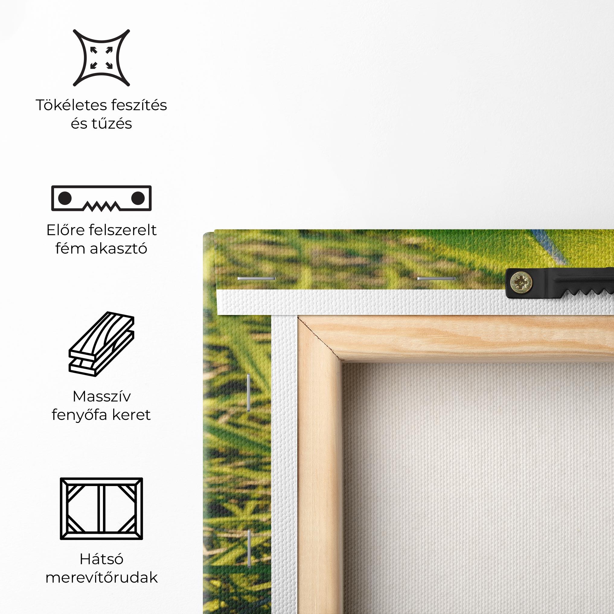 Vászonkép Green Tennis Ball mockup 5