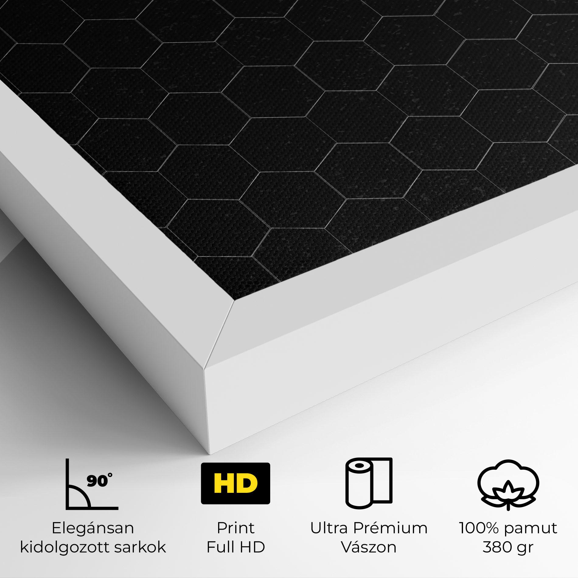 Vászonkép Black Hexagon mockup 4