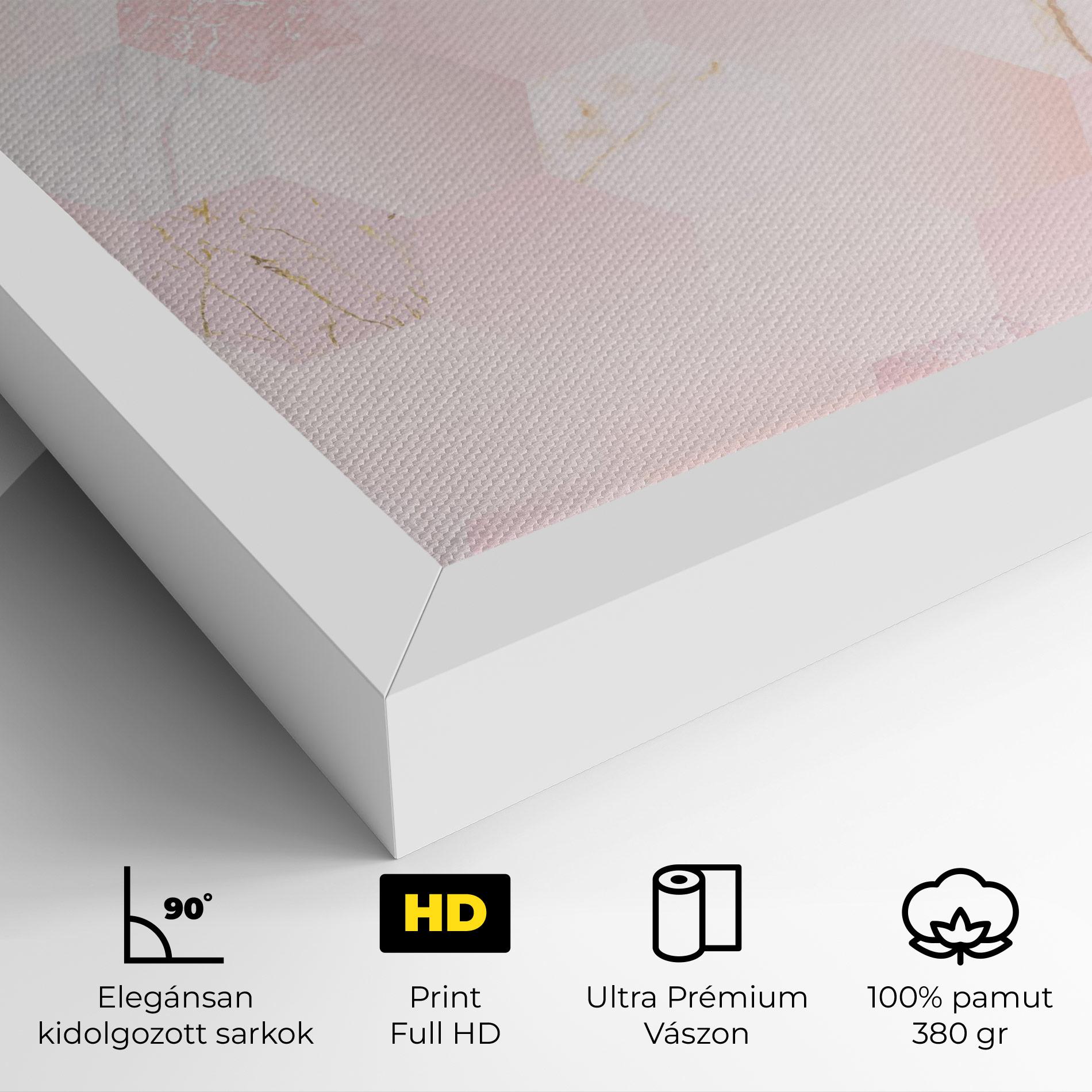 Vászonkép Pink Hexanon mockup 4