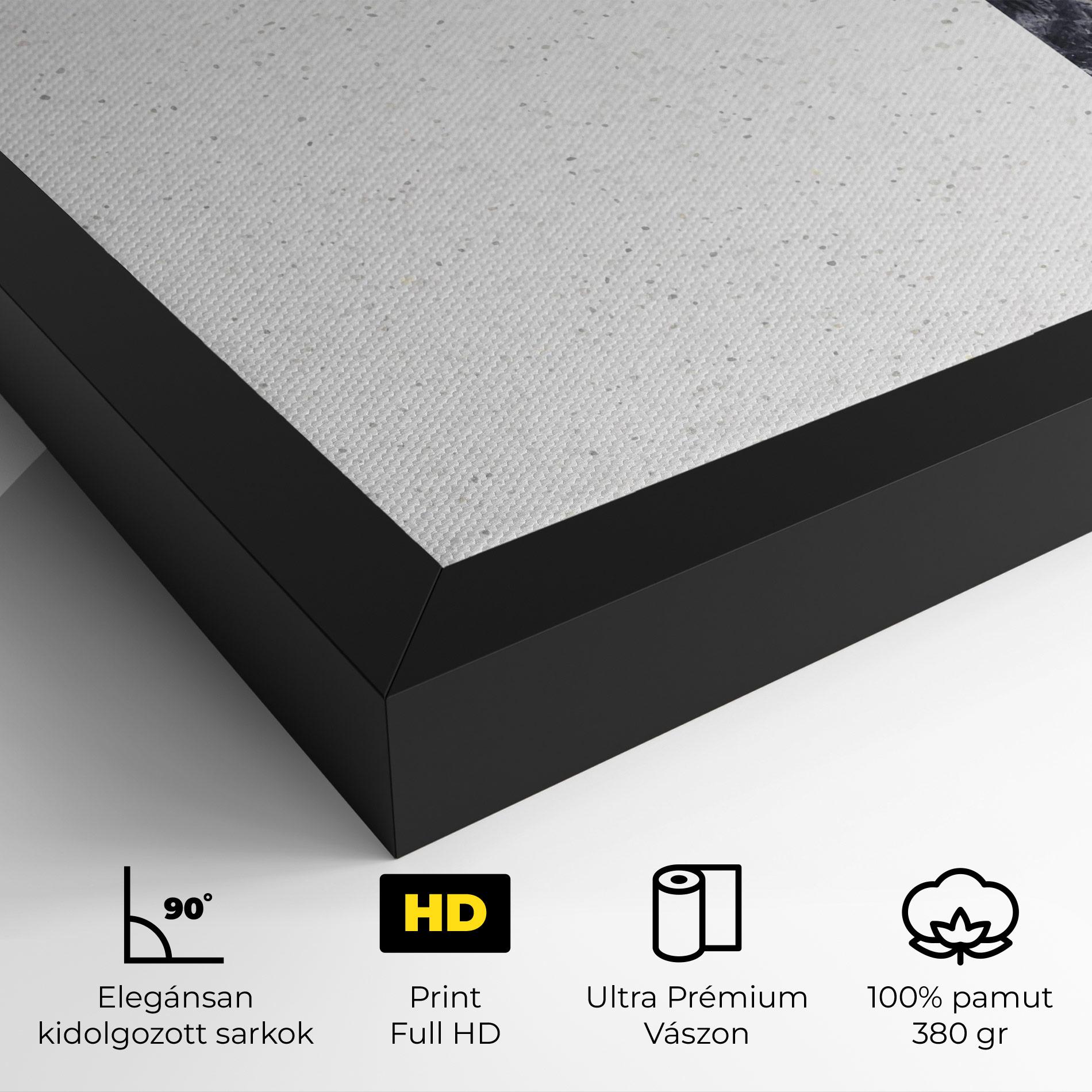 Vászonkép Big Hexagon mockup 4