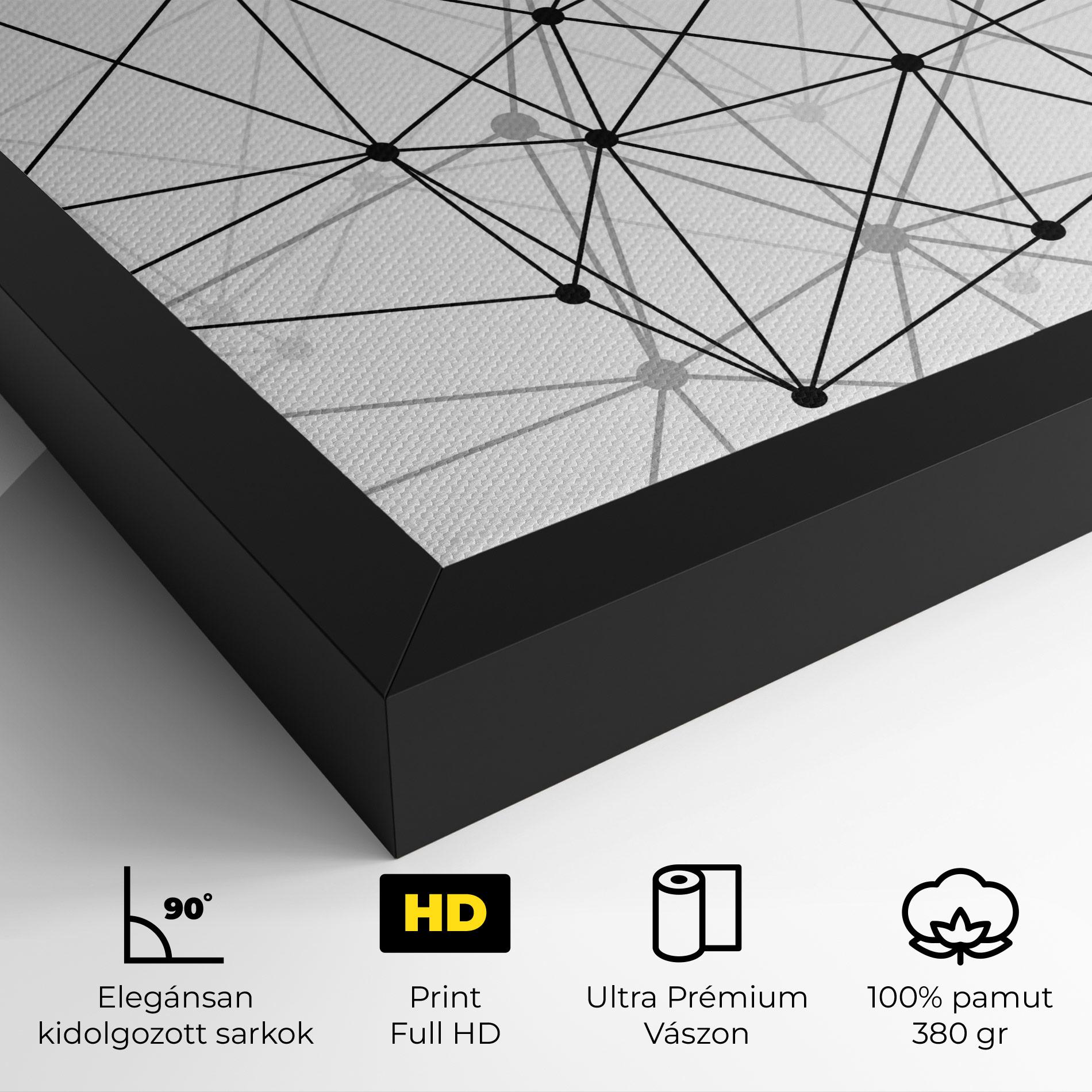 Vászonkép Black Connecting mockup 4