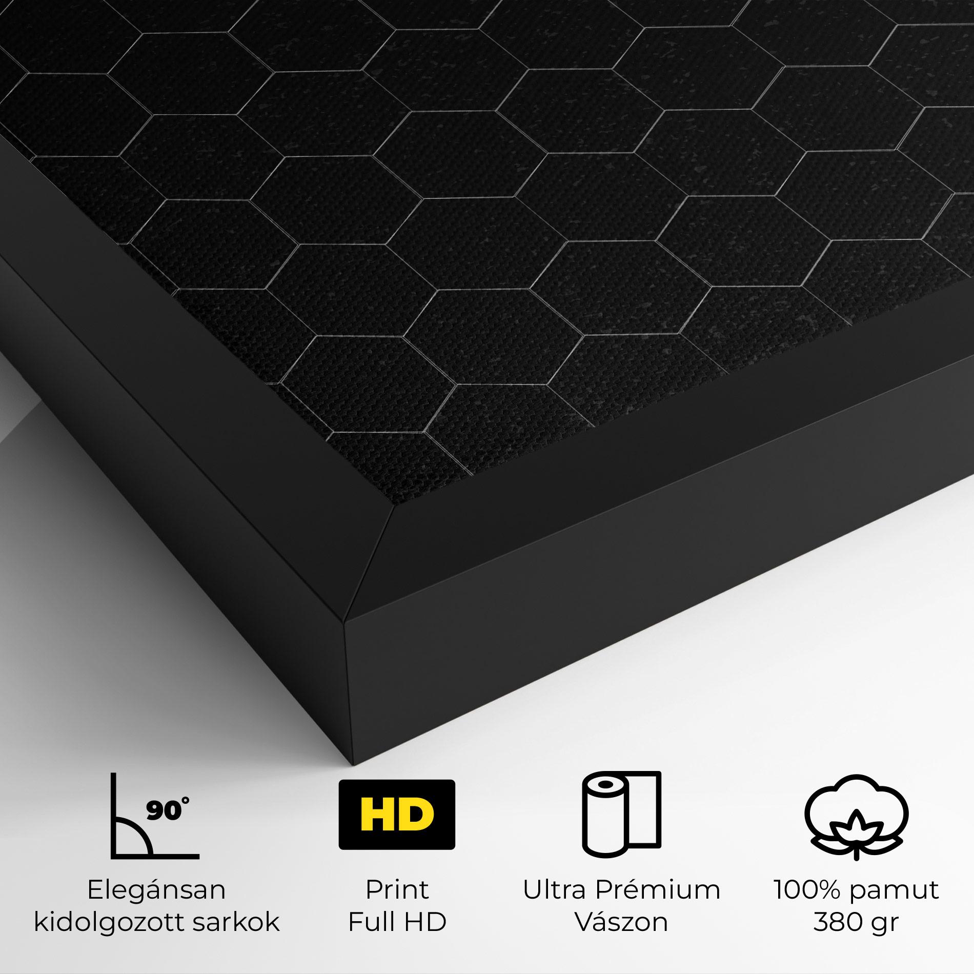 Vászonkép Black Hexagon mockup 4
