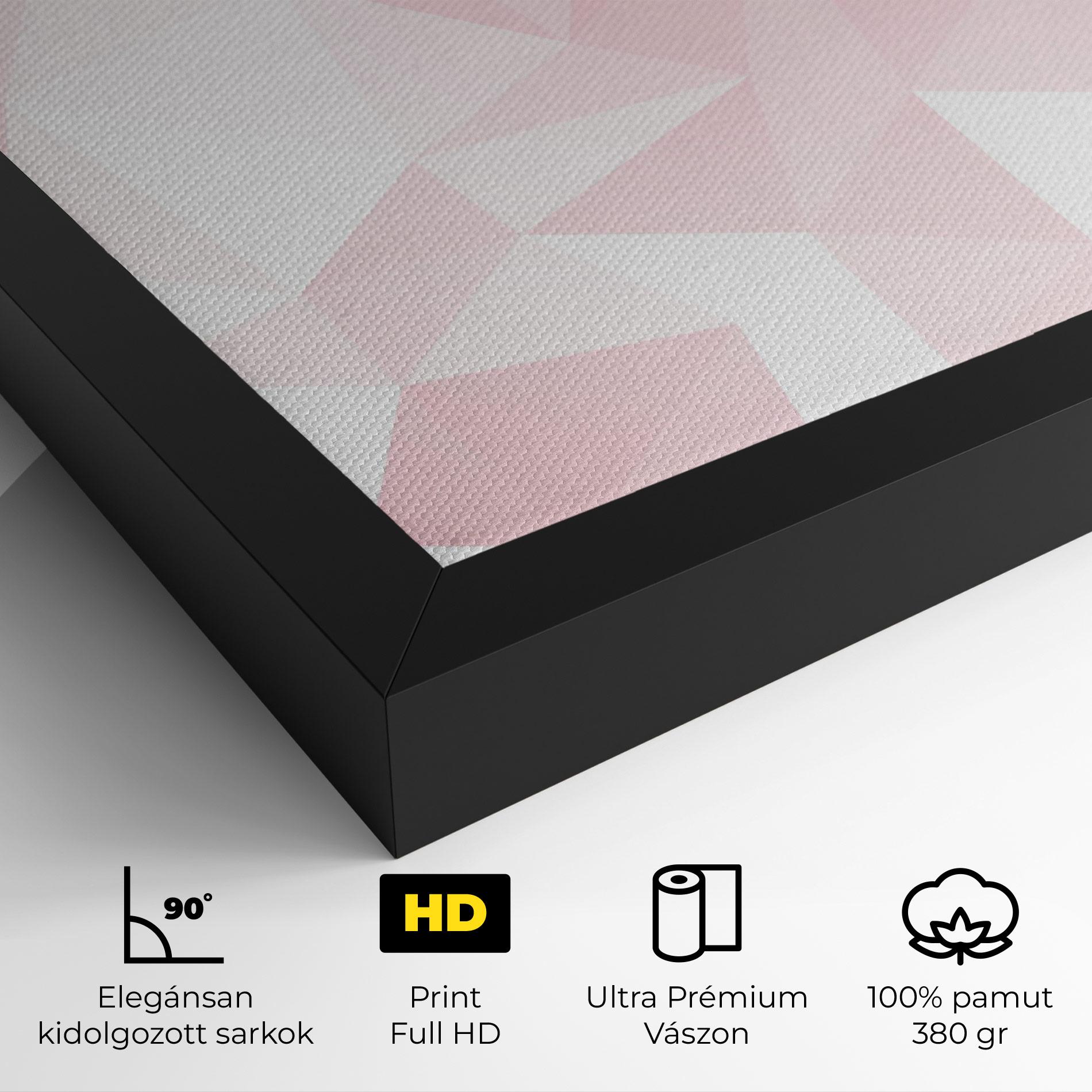 Vászonkép Pink Triangle mockup 4
